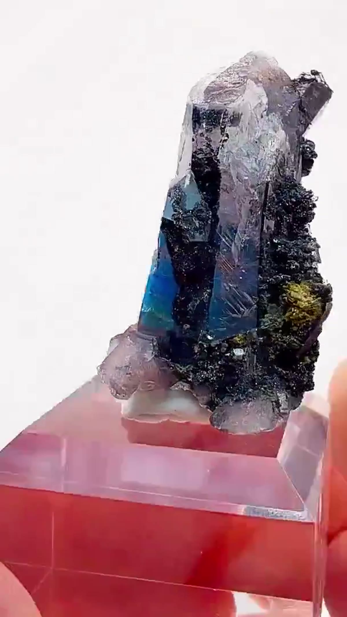 Quartz Specimen: Electric blue perfection from one of the most legendary - view 4