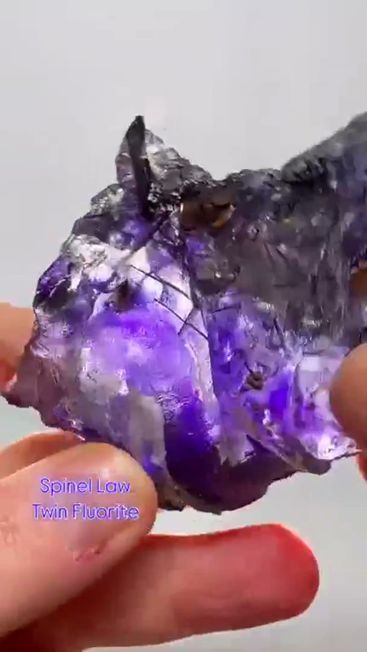 Fluorite Specimen from Erongo Mountains, Namibia: Spinel Law Twin Fluorite from Erongo, Namibia - view 4