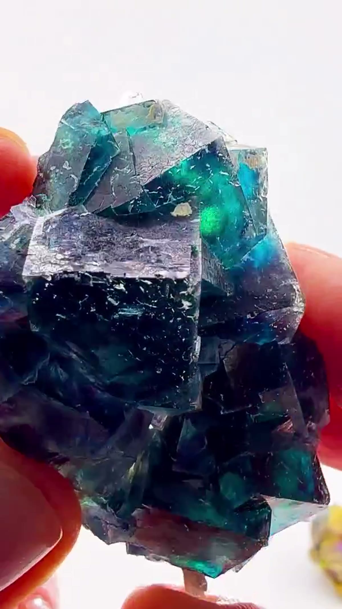 Fluorite Specimen from Namibia: Peacock Colors Straight from Namibia - view 3