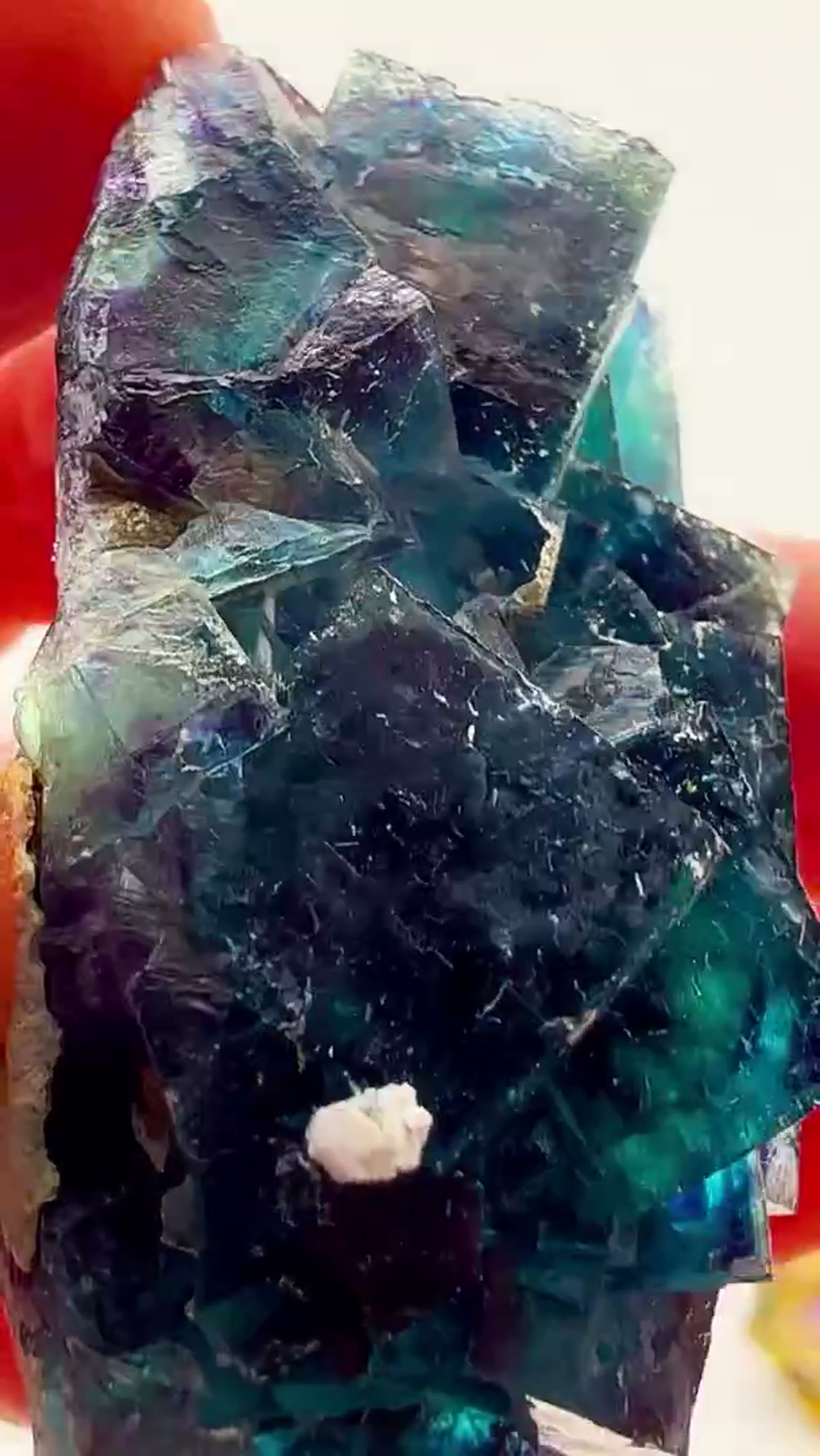 Fluorite Specimen from Namibia: Peacock Colors Straight from Namibia - view 4