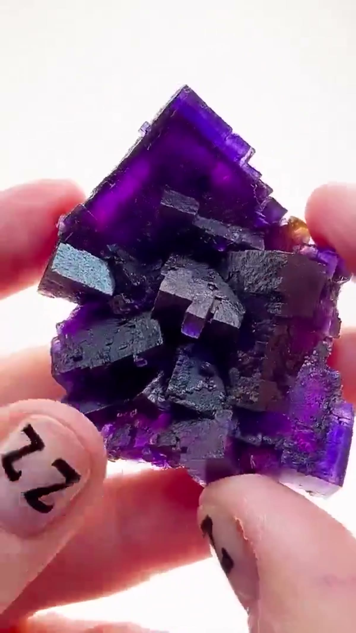 Fluorite Specimen from Minerva No. 1 Mine, Illinois: Rosiclare-level royalty - view 3