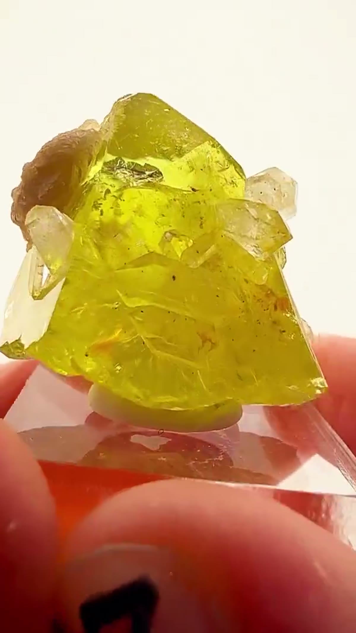 Brazilianite Specimen from Brazil - view 4