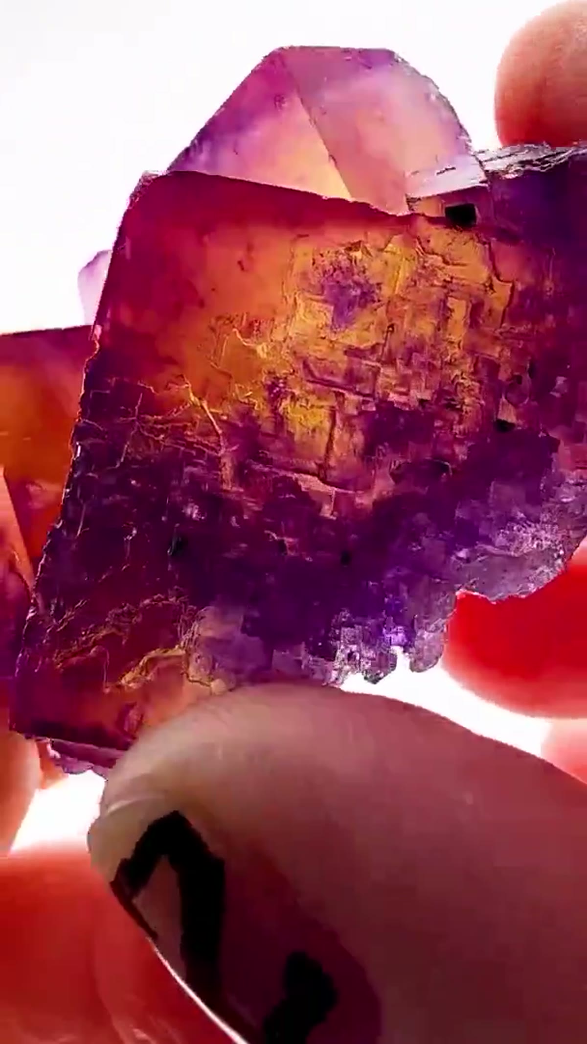 Fluorite Specimen from Hardin County, Illinois: W.L. Davis magic under the lights - view 2