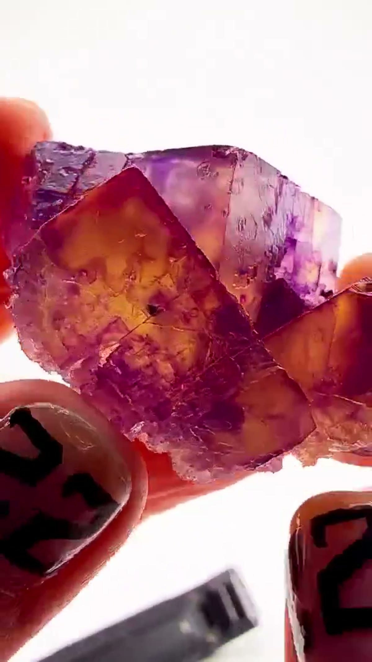 Fluorite Specimen from Hardin County, Illinois: W.L. Davis magic under the lights - view 3
