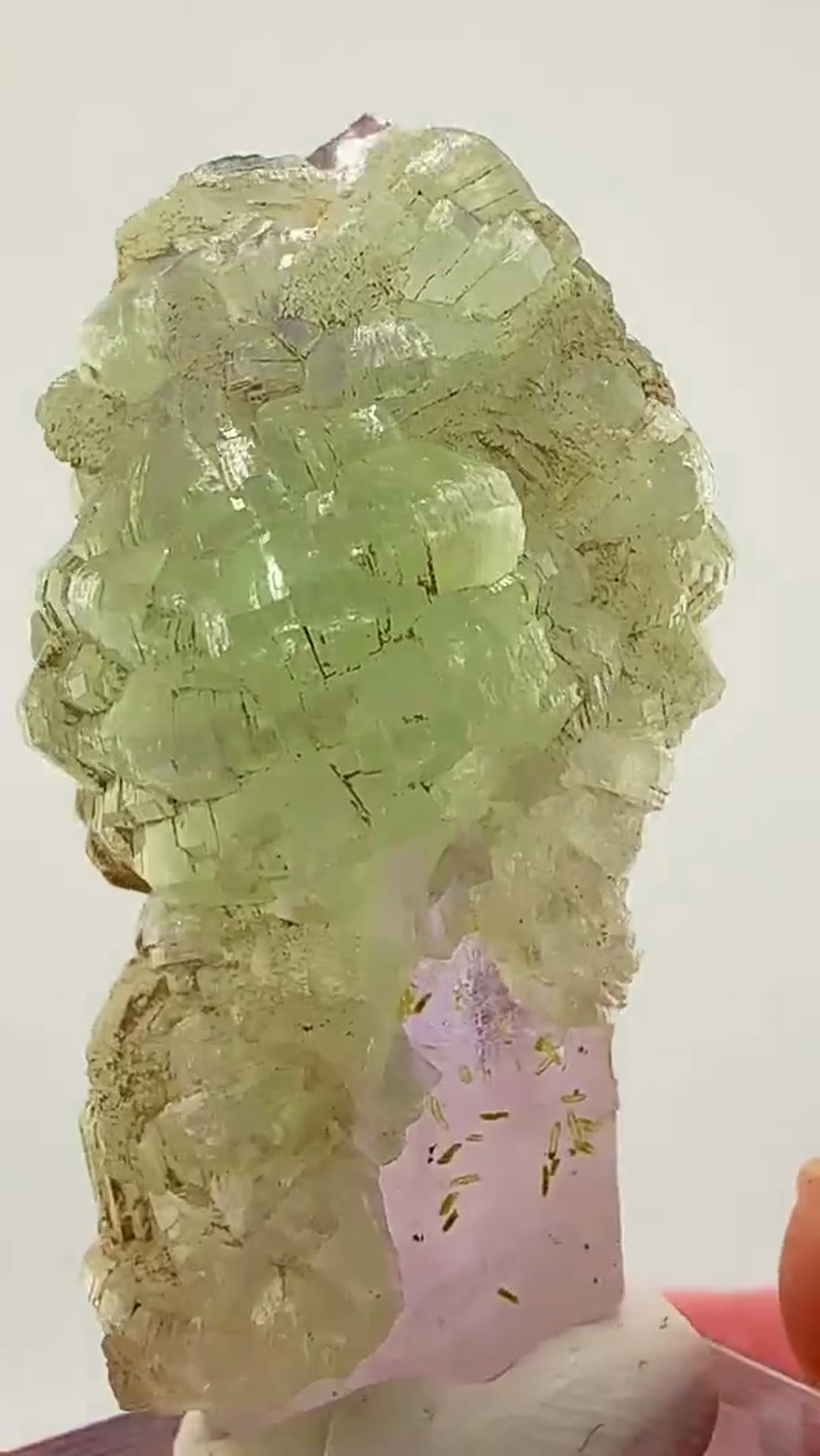 Amethyst Specimen from Streep Mine, Namibia: Small in size… massive in presence - view 3