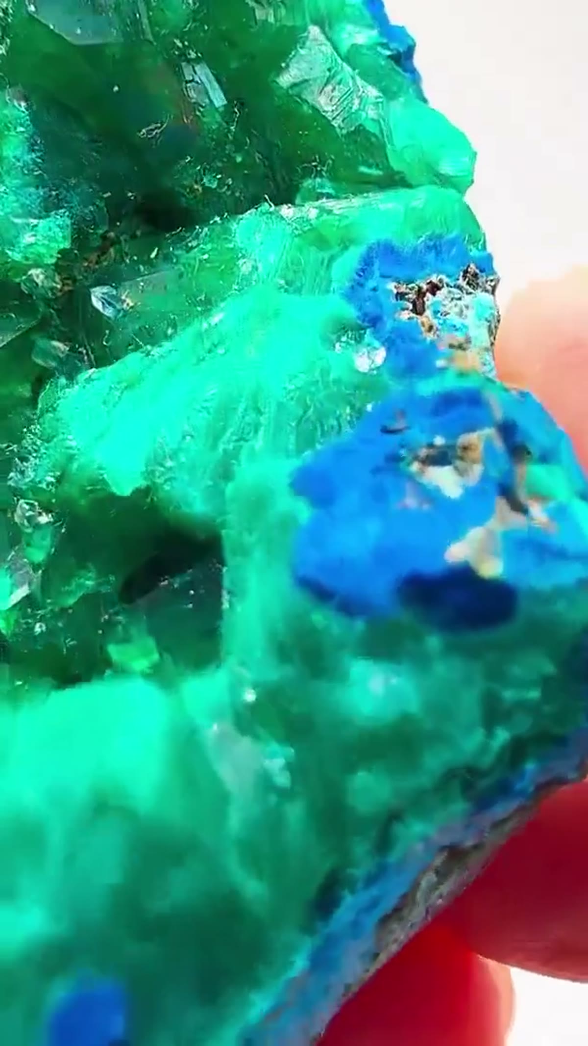 Dioptase Specimen: Emerald green meets electric blue - view 2