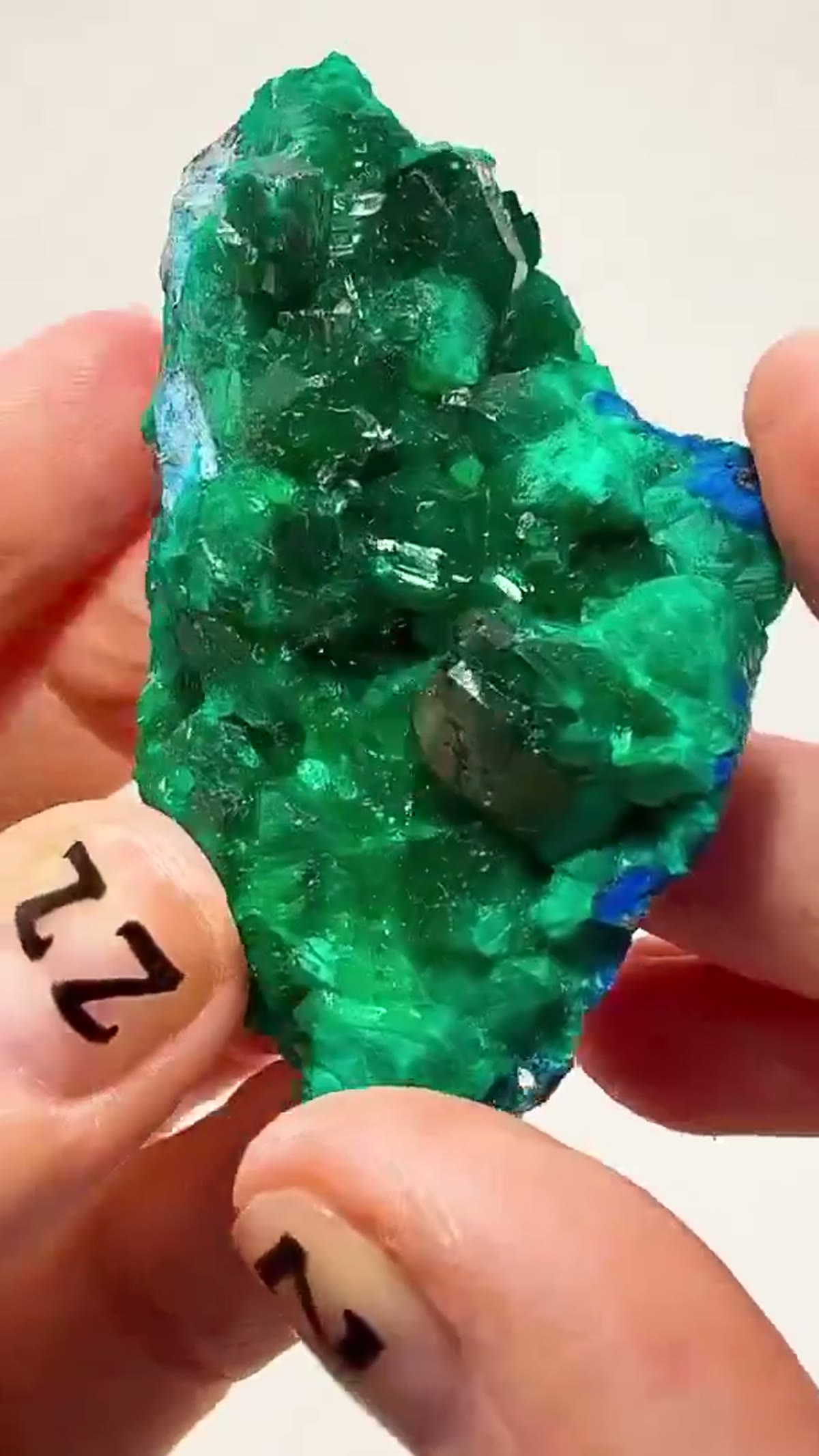 Dioptase Specimen: Emerald green meets electric blue - view 3