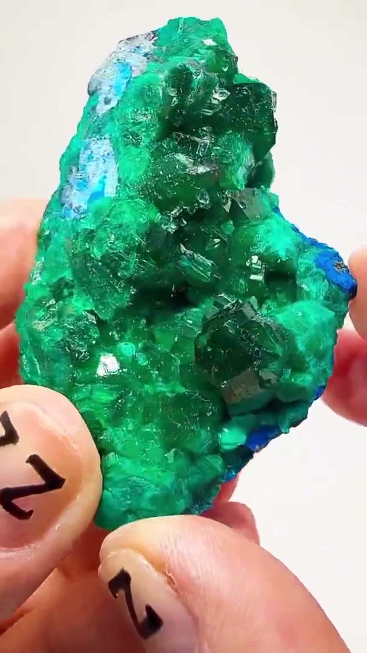Dioptase Specimen: Emerald green meets electric blue - view 4