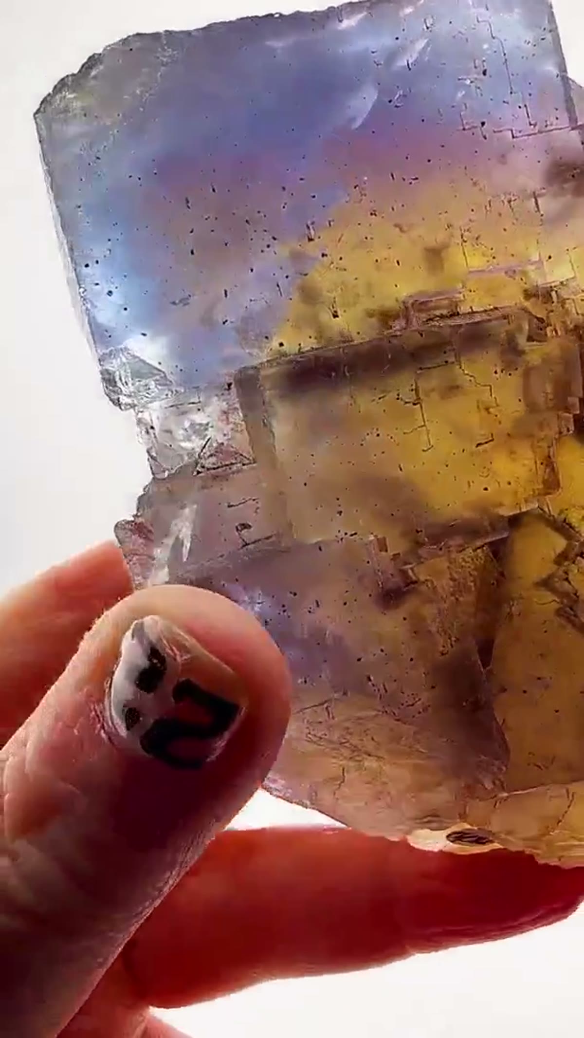 Fluorite Specimen from Minerva No. 1 Mine, Illinois: Minerva No. 1 masterpiece - view 2