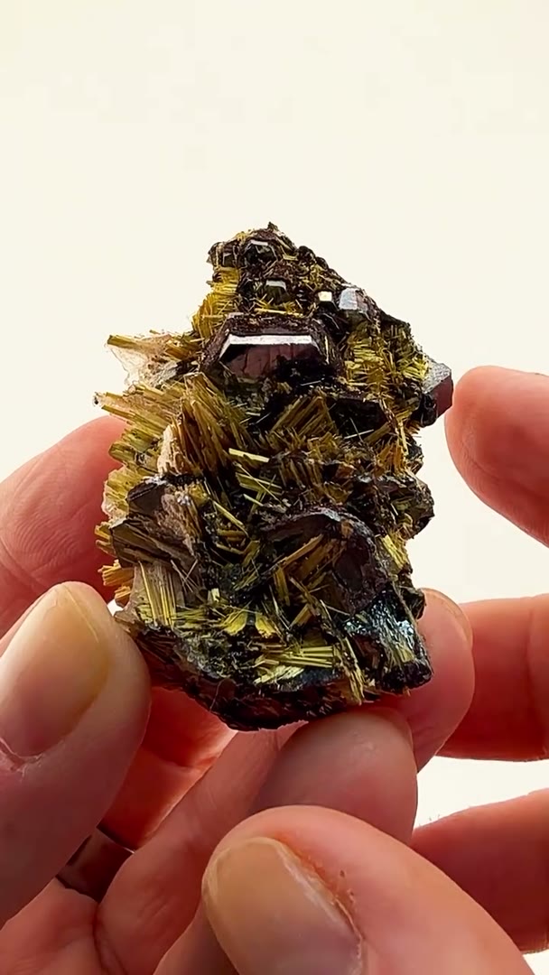 Golden stars frozen in time