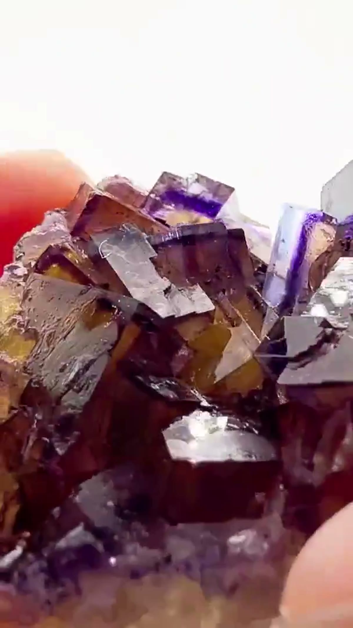 Fluorite Specimen from Minerva No. 1 Mine, Illinois: Illinois fluorite never goes out of style - view 2