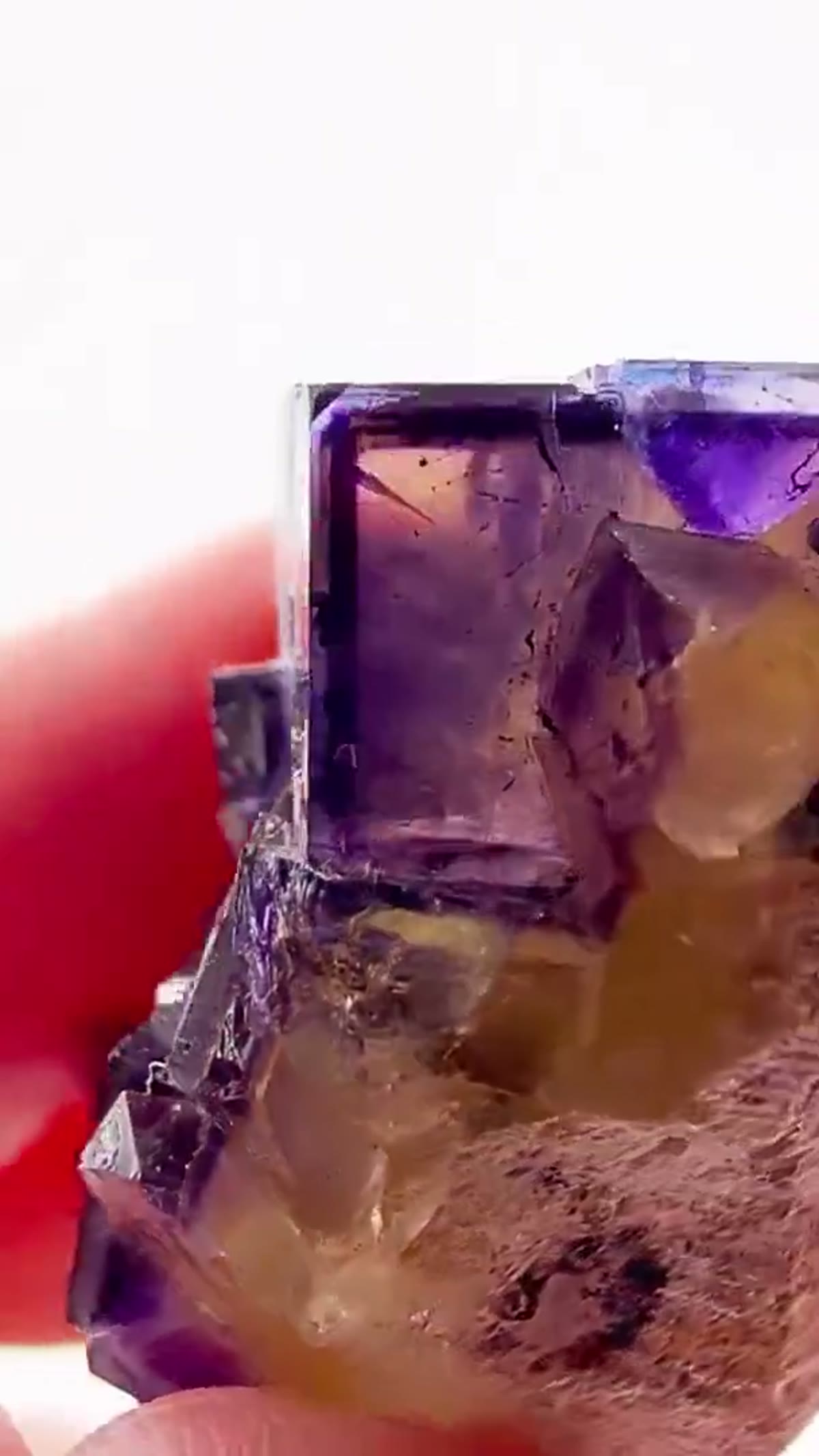Fluorite Specimen from Minerva No. 1 Mine, Illinois: Illinois fluorite never goes out of style - view 3