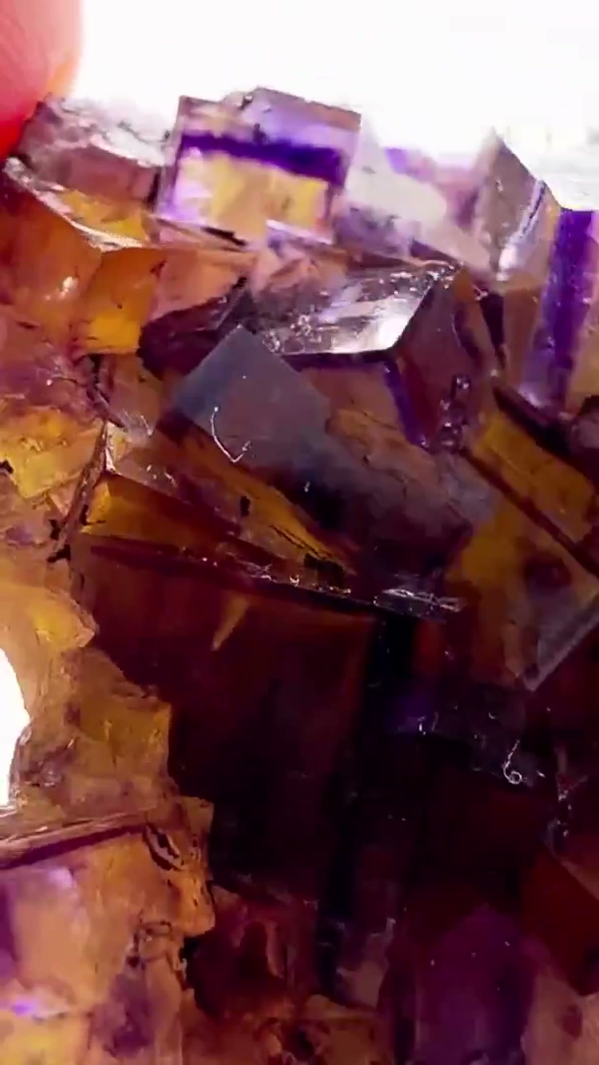 Fluorite Specimen from Minerva No. 1 Mine, Illinois: Illinois fluorite never goes out of style - view 4
