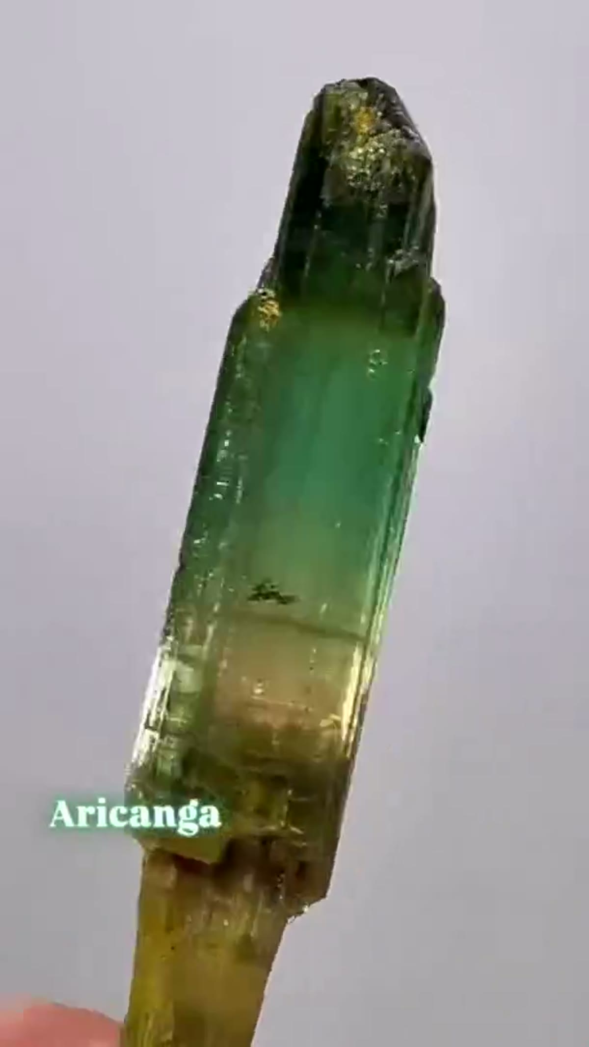 Elbaite Tourmaline Specimen from Aricanga Mine, Brazil: Aricanga Scepter Tourmaline - view 2