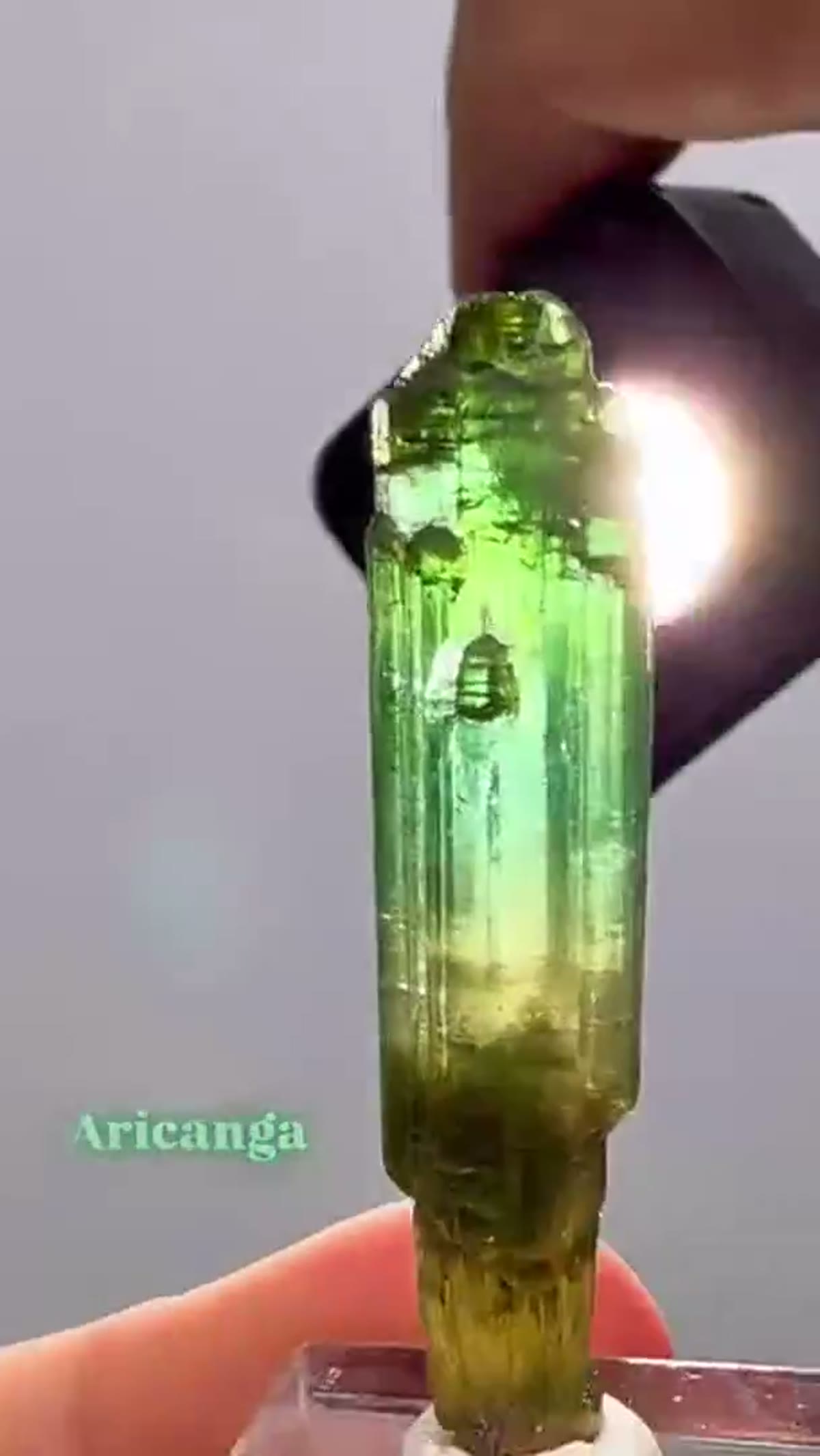 Elbaite Tourmaline Specimen from Aricanga Mine, Brazil: Aricanga Scepter Tourmaline - view 3