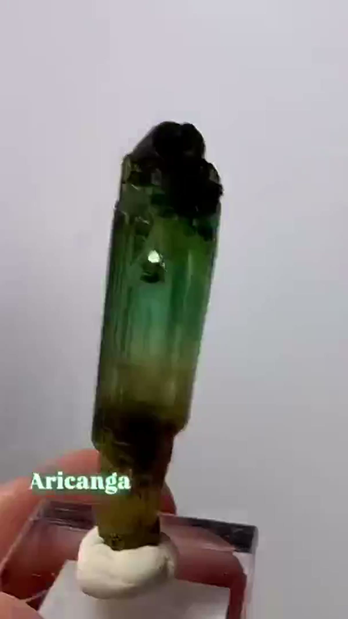 Elbaite Tourmaline Specimen from Aricanga Mine, Brazil: Aricanga Scepter Tourmaline - view 4