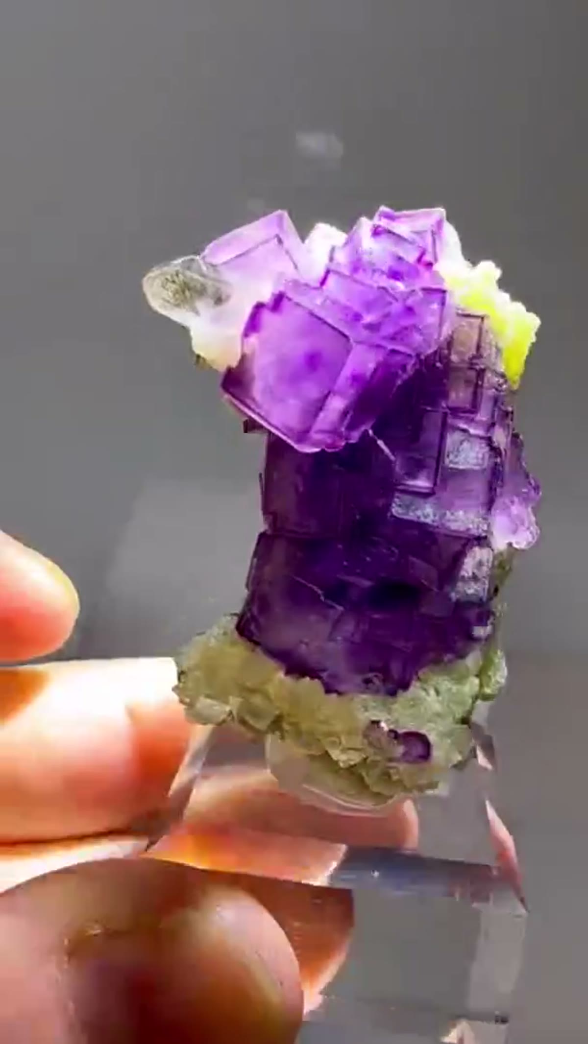 Fluorite Specimen from China: Hunan Yaogangxian Purple Stepped Fluorite - view 4