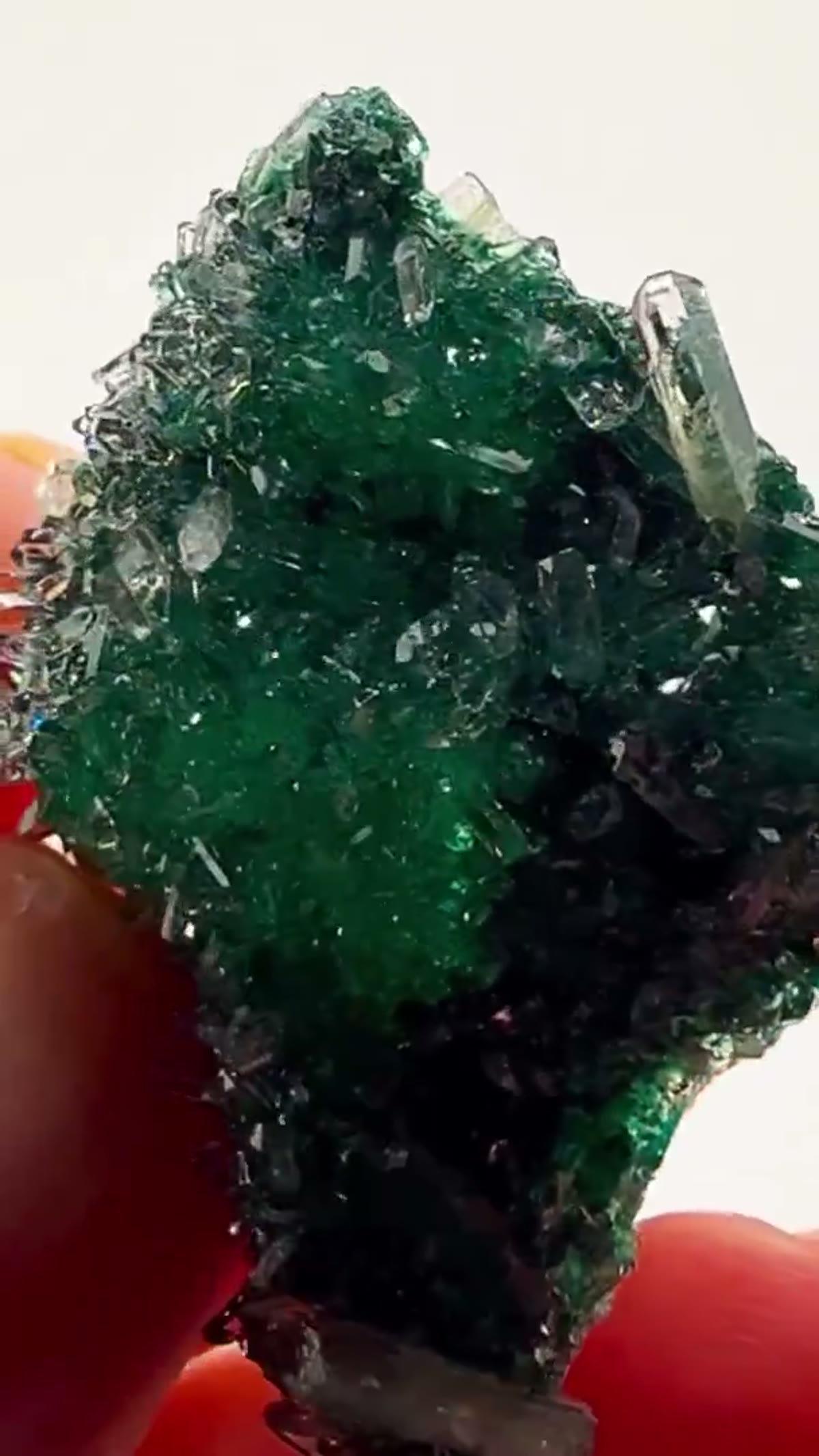 Malachite Specimen: Straight out of the legendary “Glass Pocket” - view 2