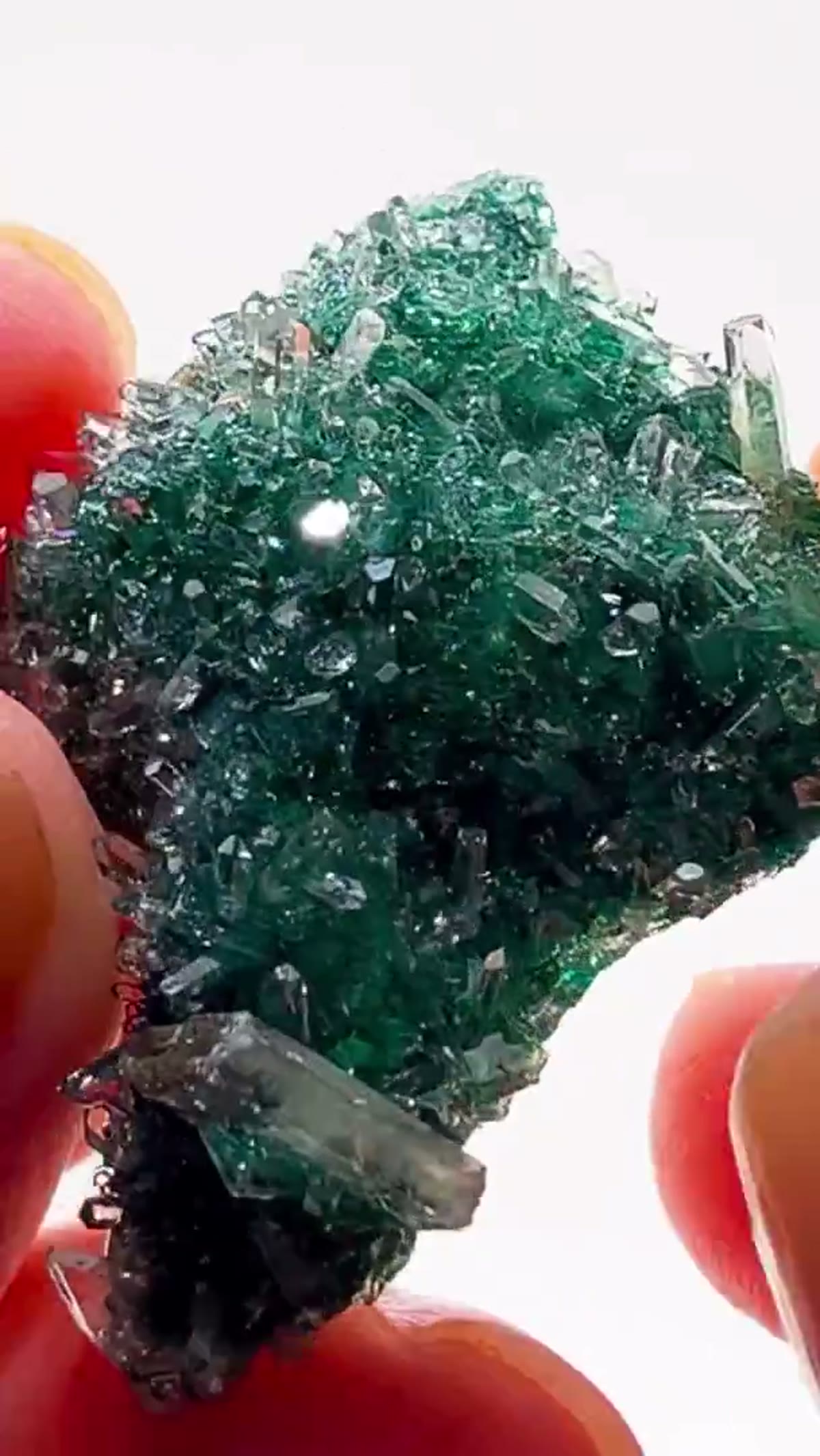 Malachite Specimen: Straight out of the legendary “Glass Pocket” - view 3