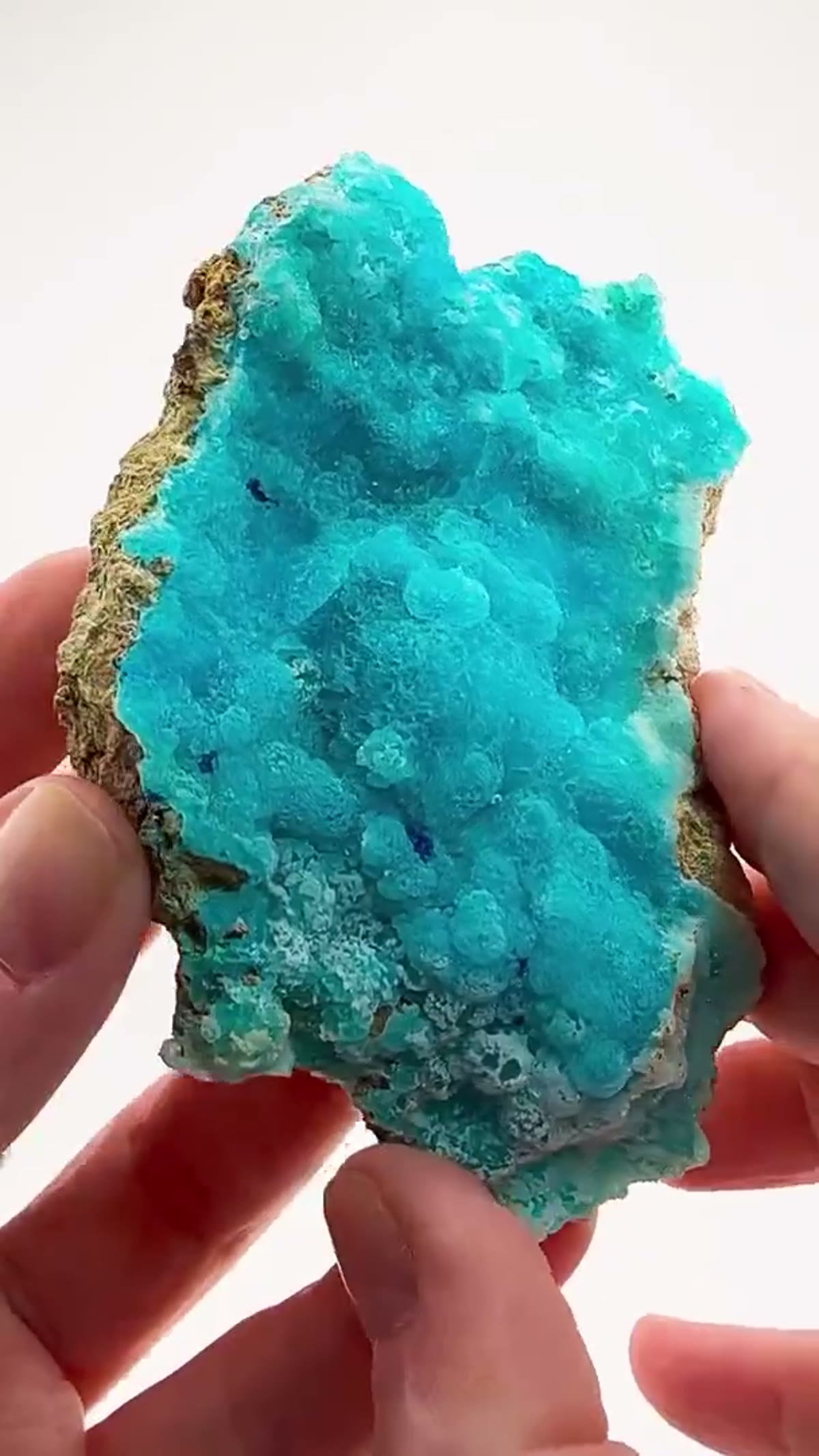 Hemimorphite Specimen: Electric blue perfection from the Congo - view 4
