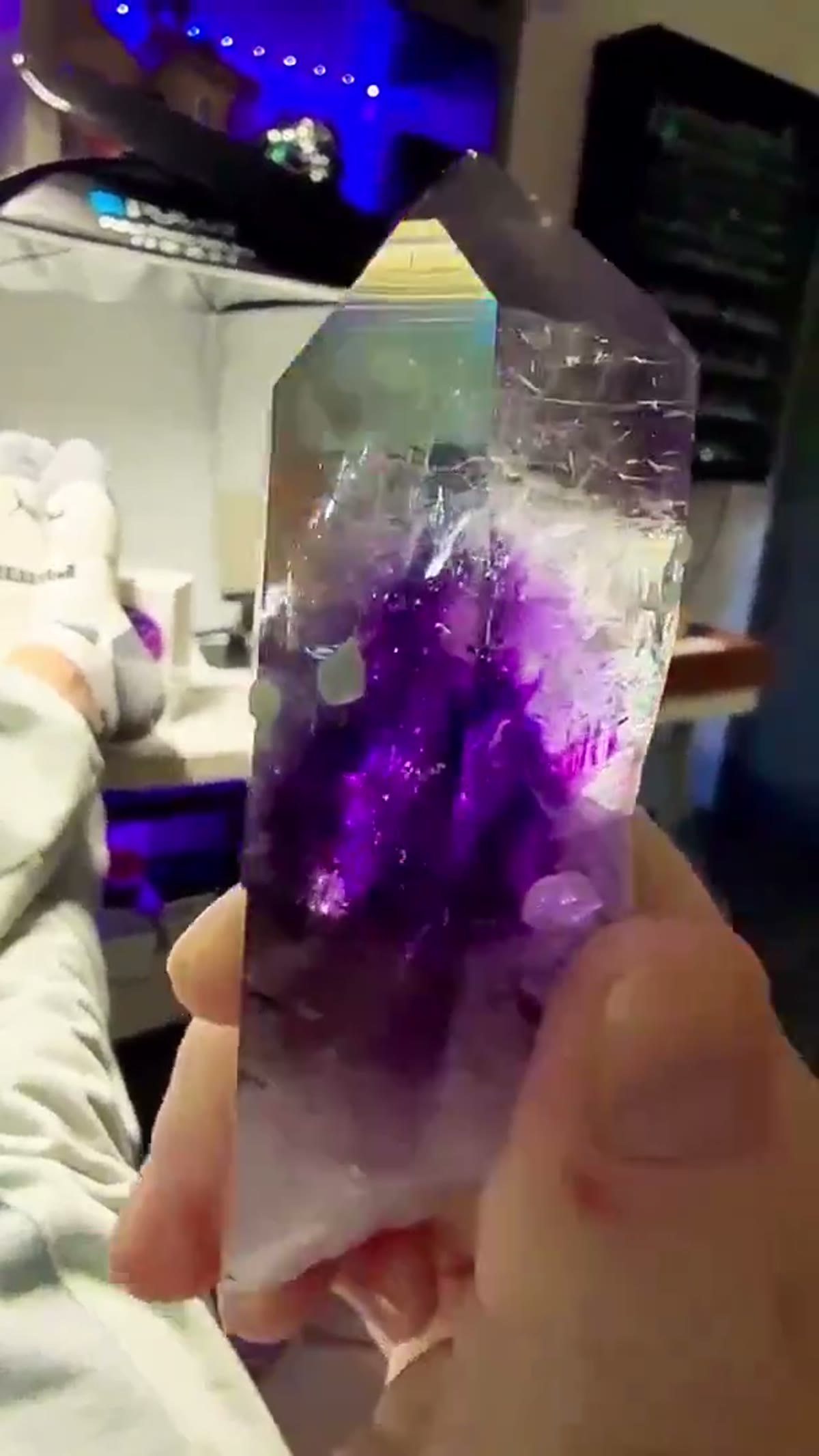 Amethyst Specimen from Goboboseb Mountains, Namibia: Streep Mine perfection - view 3