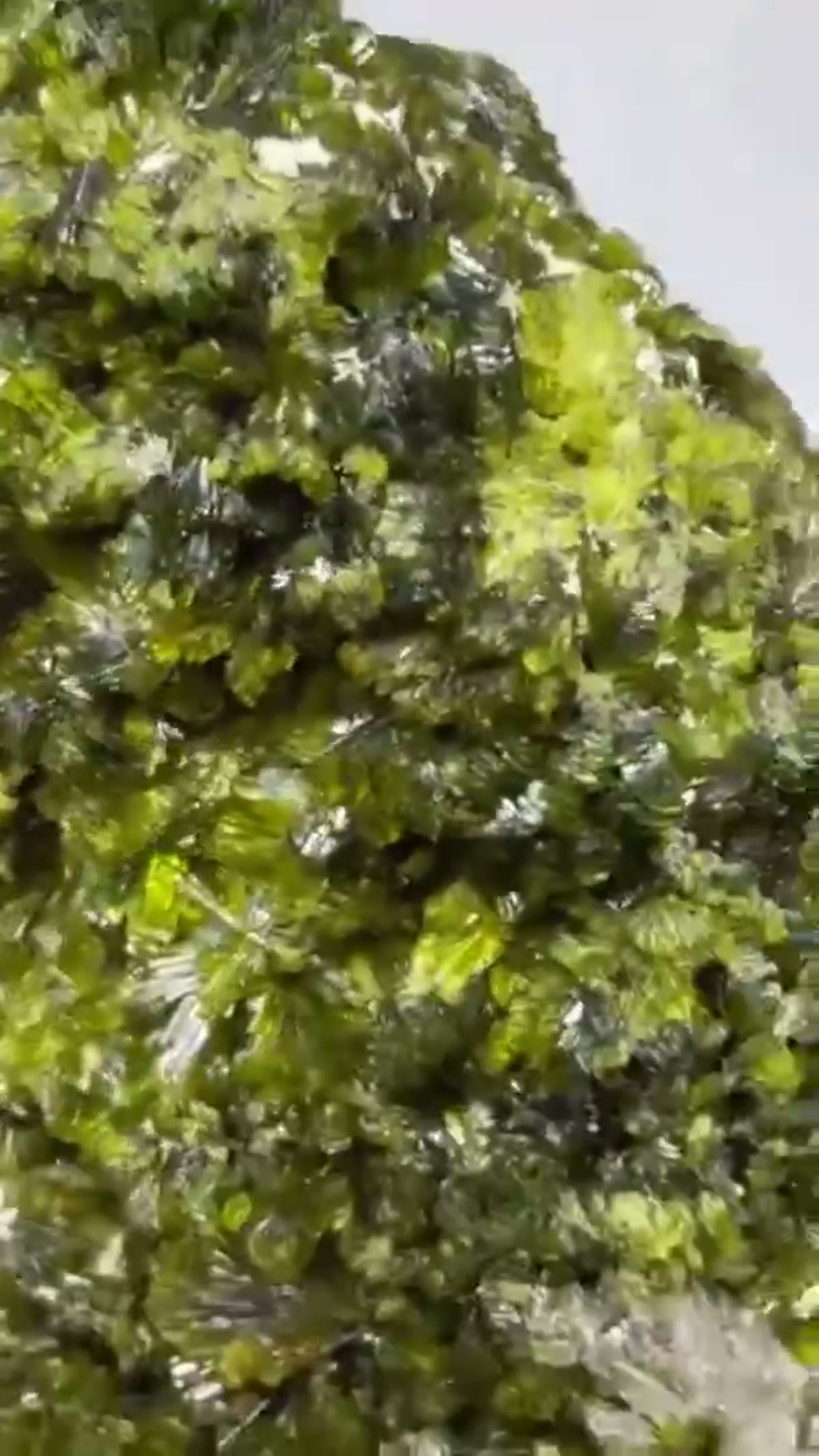 Mineral Specimen: Look at this specimen Epidote/Prehnite Locality: Midelt - view 3