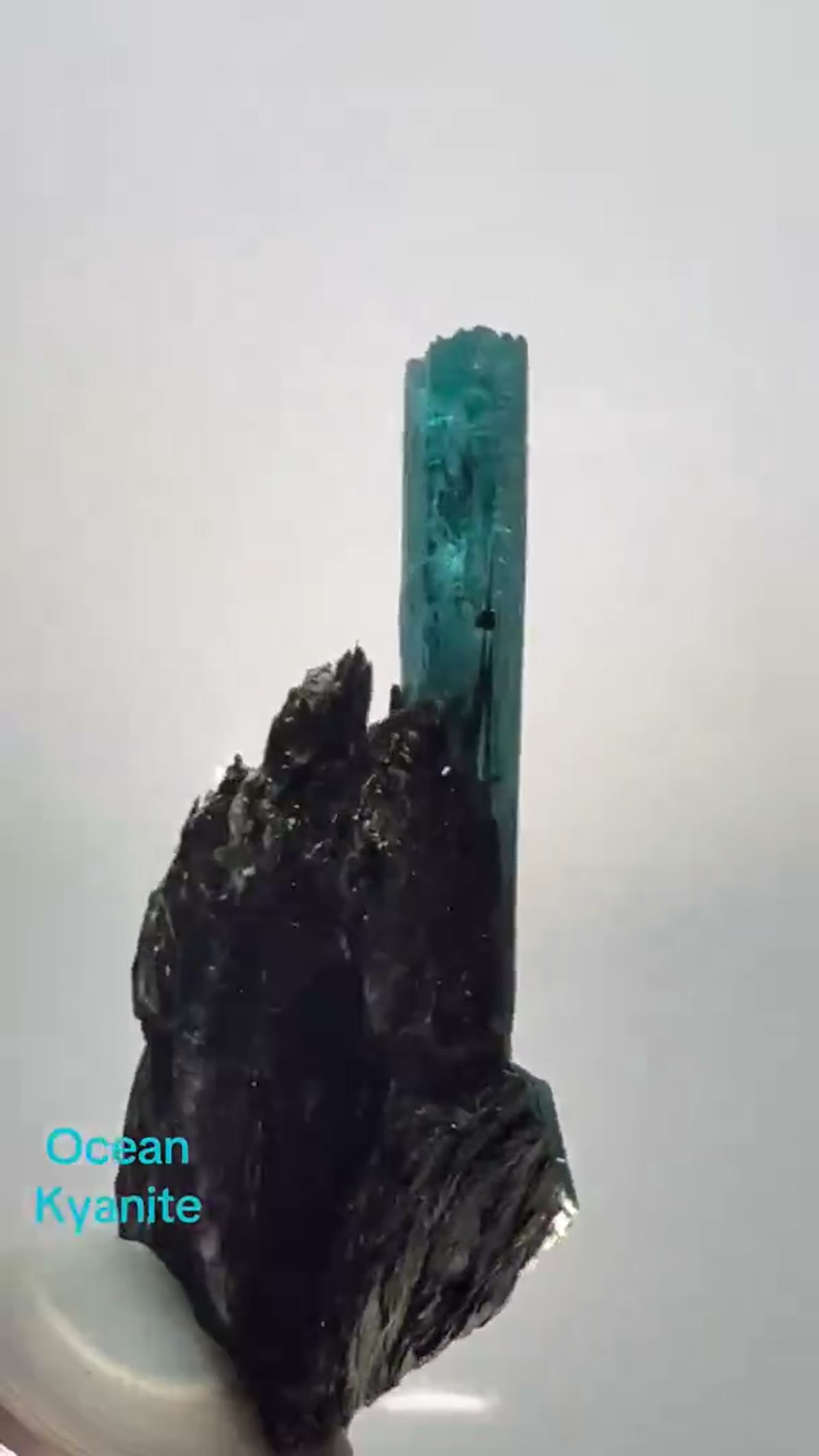 Mineral Specimen: Ocean kyanite, a vibrant teal-colored variety of kyanite - view 2