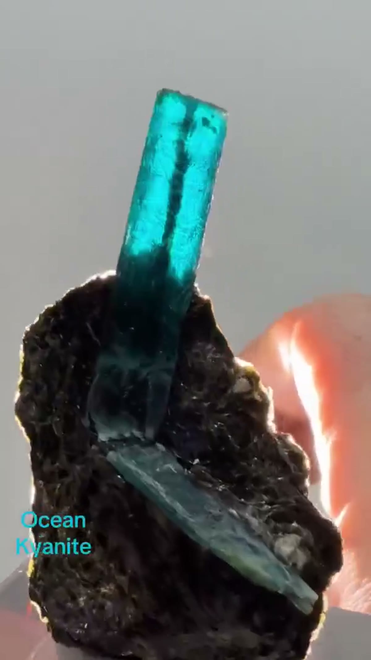 Mineral Specimen: Ocean kyanite, a vibrant teal-colored variety of kyanite - view 3