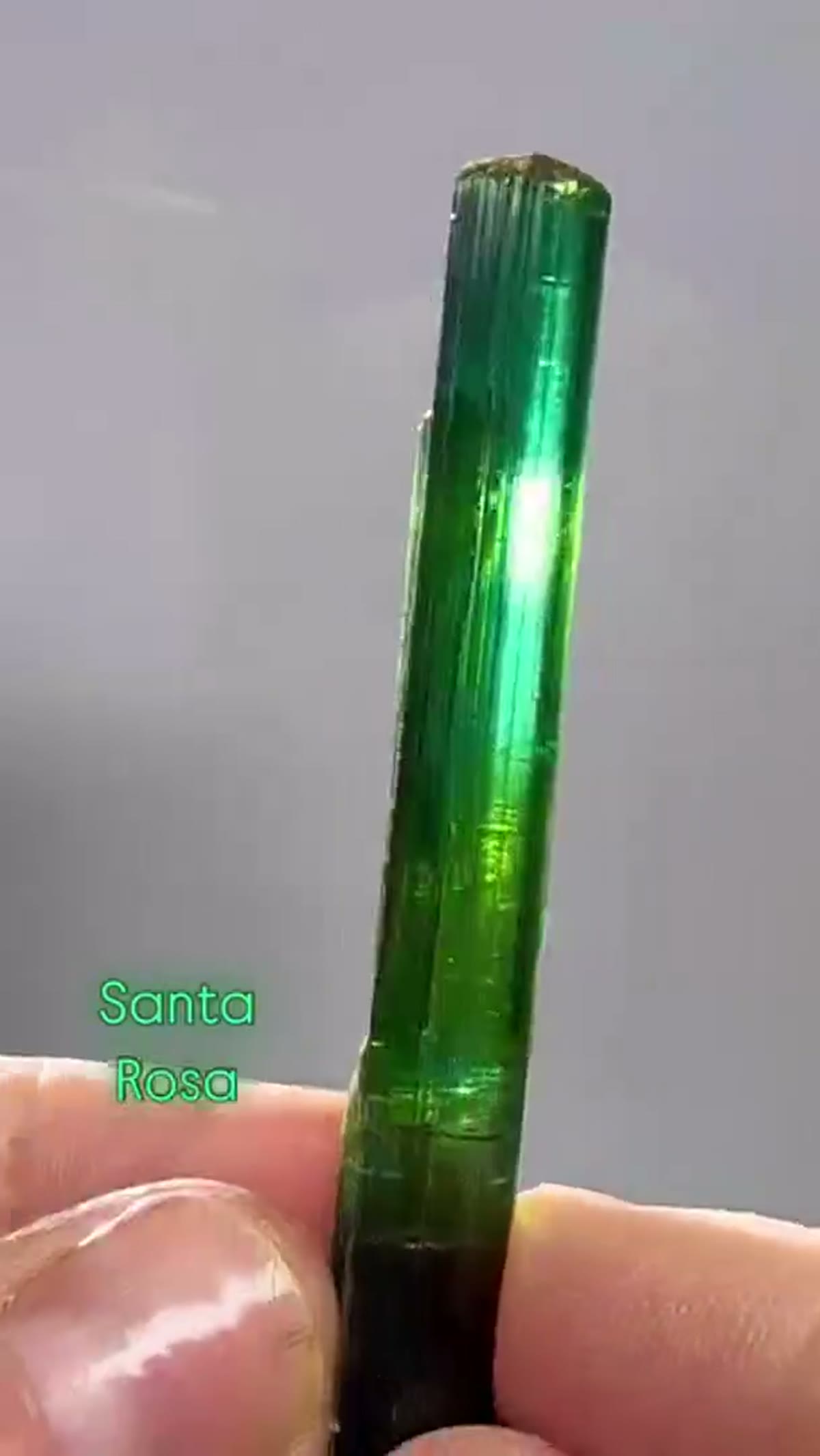 Tourmaline Specimen from Minas Gerais, Brazil - view 4