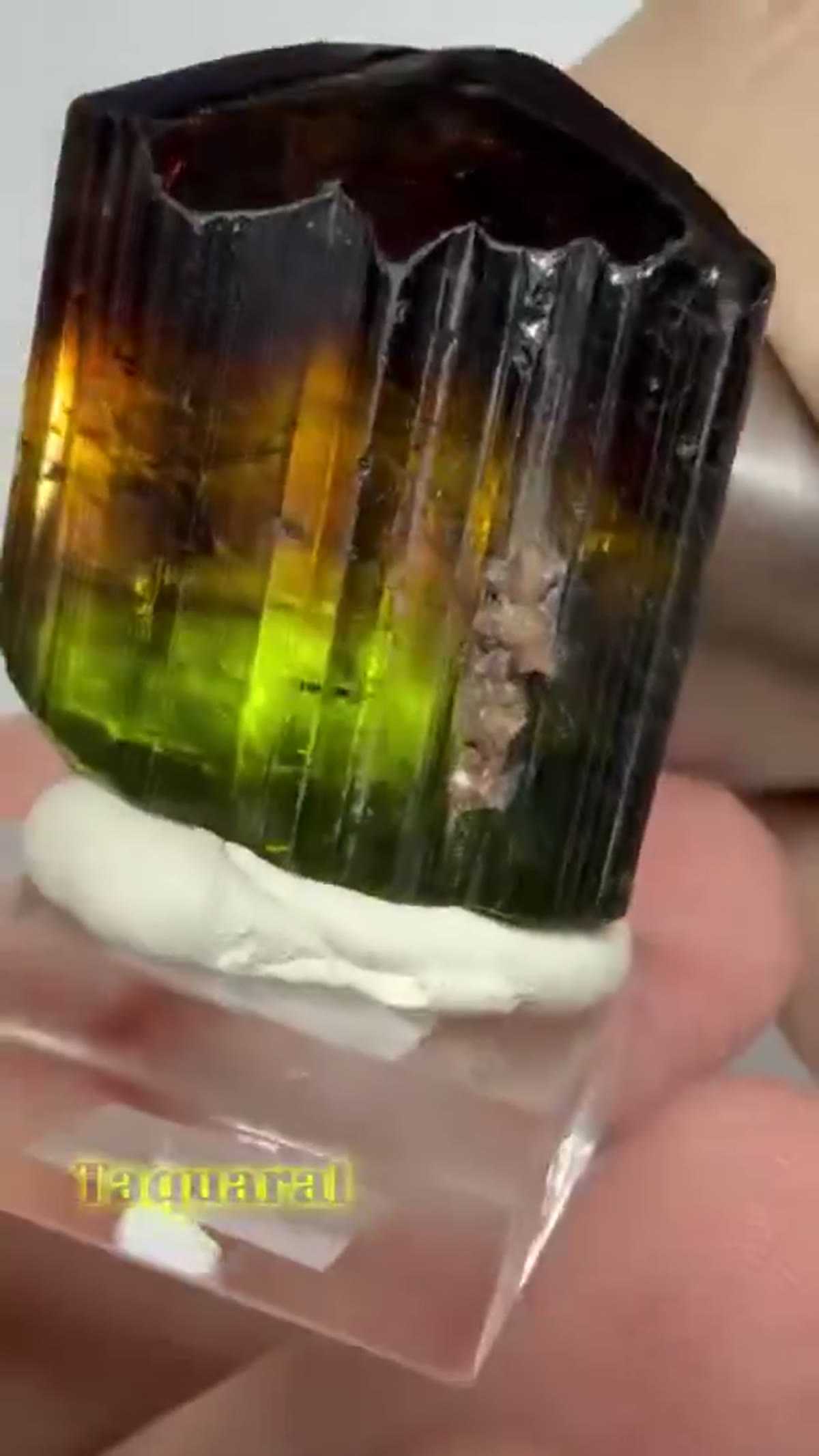 Elbaite Tourmaline Specimen: 25+ Grams Taquaral Tourmaline - view 2