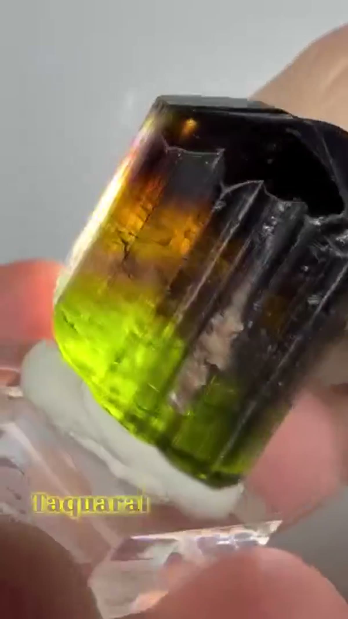 Elbaite Tourmaline Specimen: 25+ Grams Taquaral Tourmaline - view 3