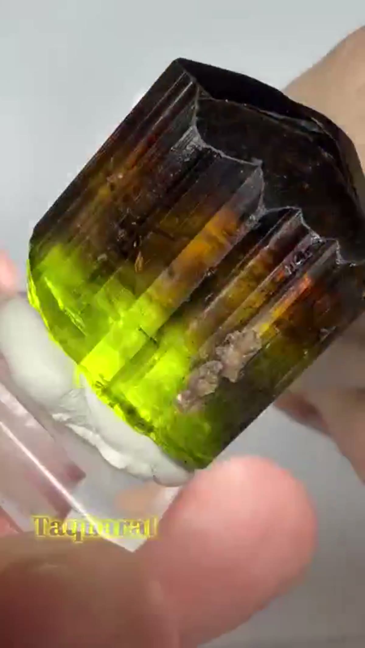 Elbaite Tourmaline Specimen: 25+ Grams Taquaral Tourmaline - view 4
