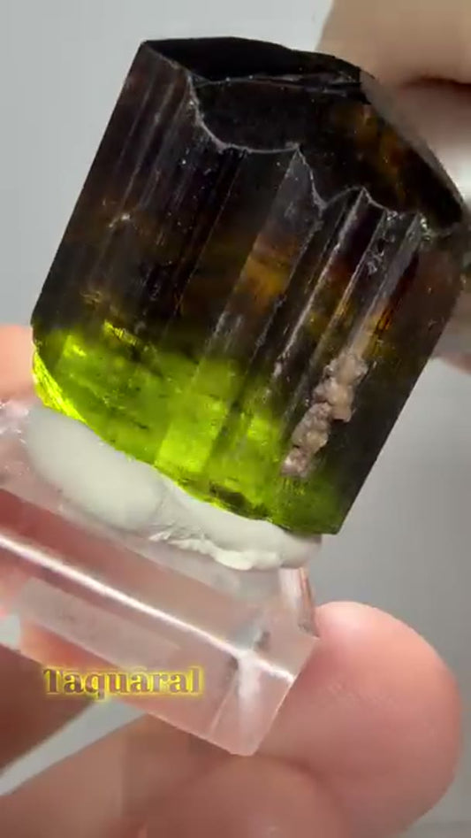 25+ Grams Taquaral Tourmaline