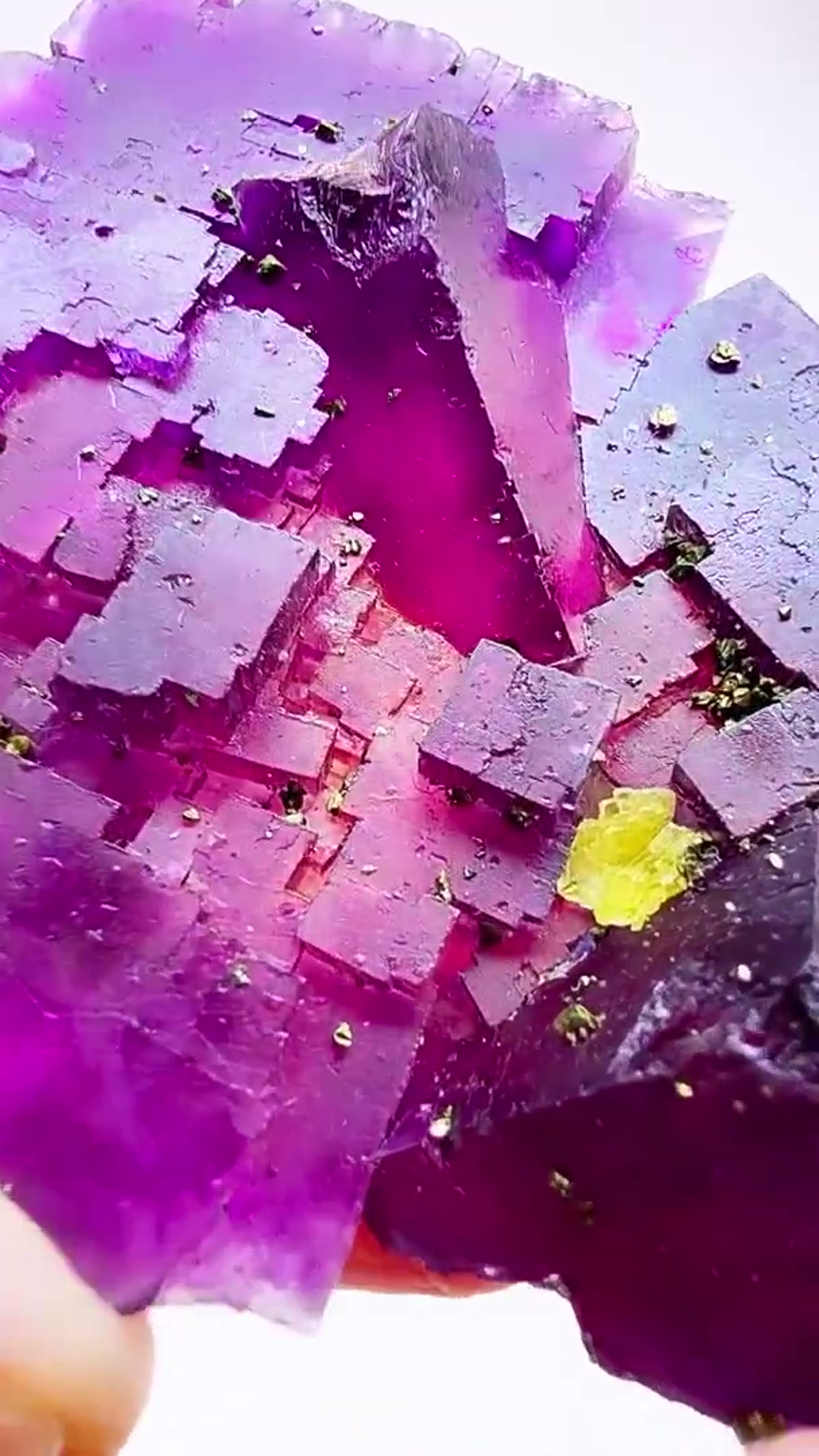 Fluorite Specimen from Hardin County, Illinois: Illinois purple perfection straight from the legendary - view 3