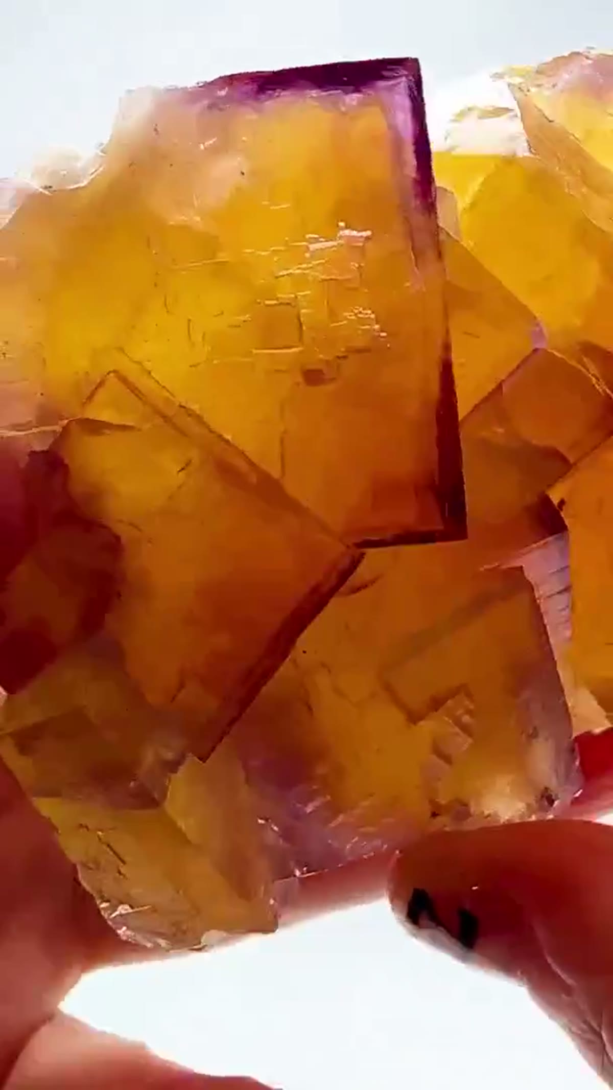 Fluorite Specimen from Hardin County, Illinois: Illinois fluorite at its finest - view 4