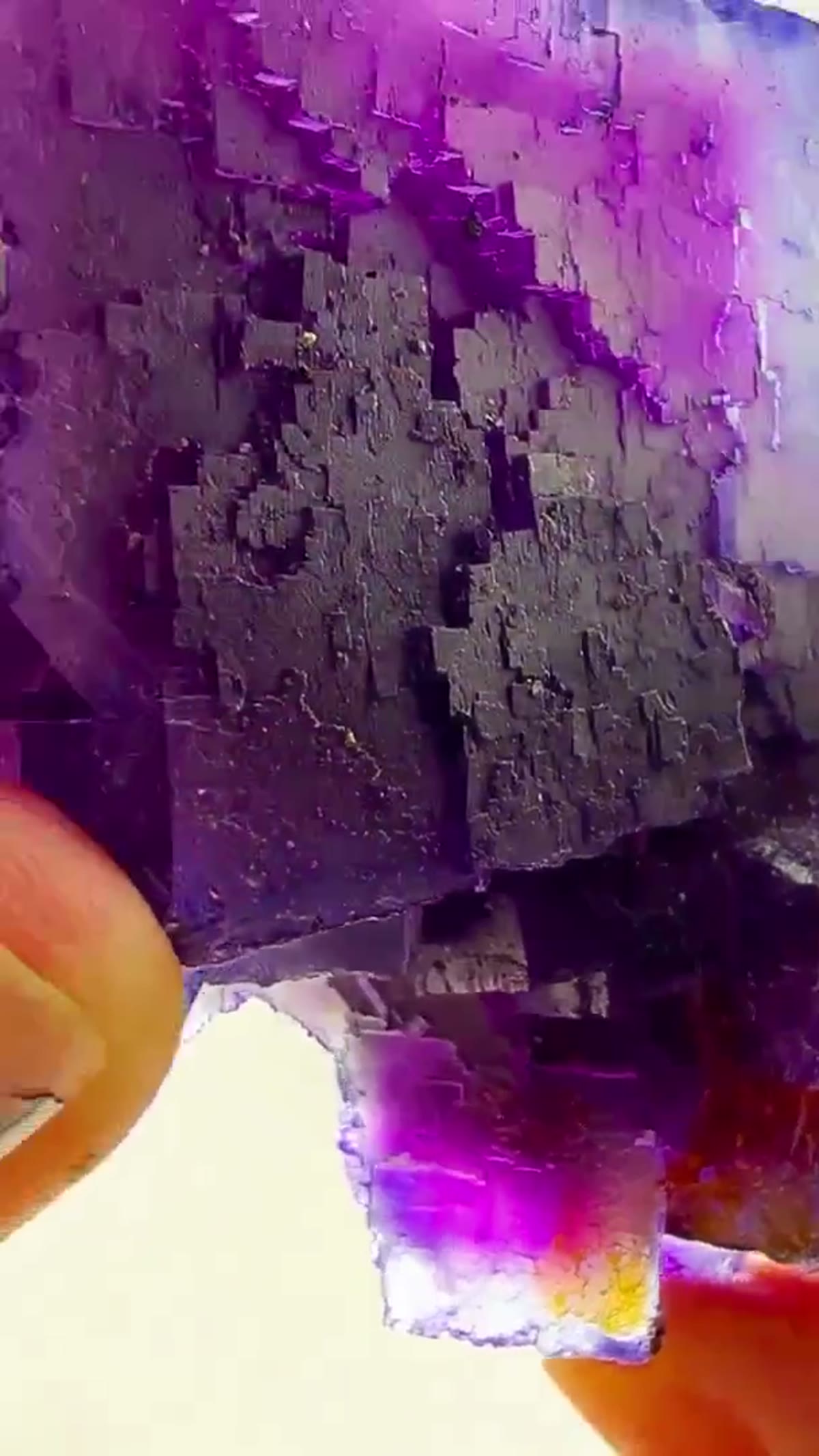 Fluorite Specimen from Illinois, USA: Purple Blue perfection from Pope County - view 3