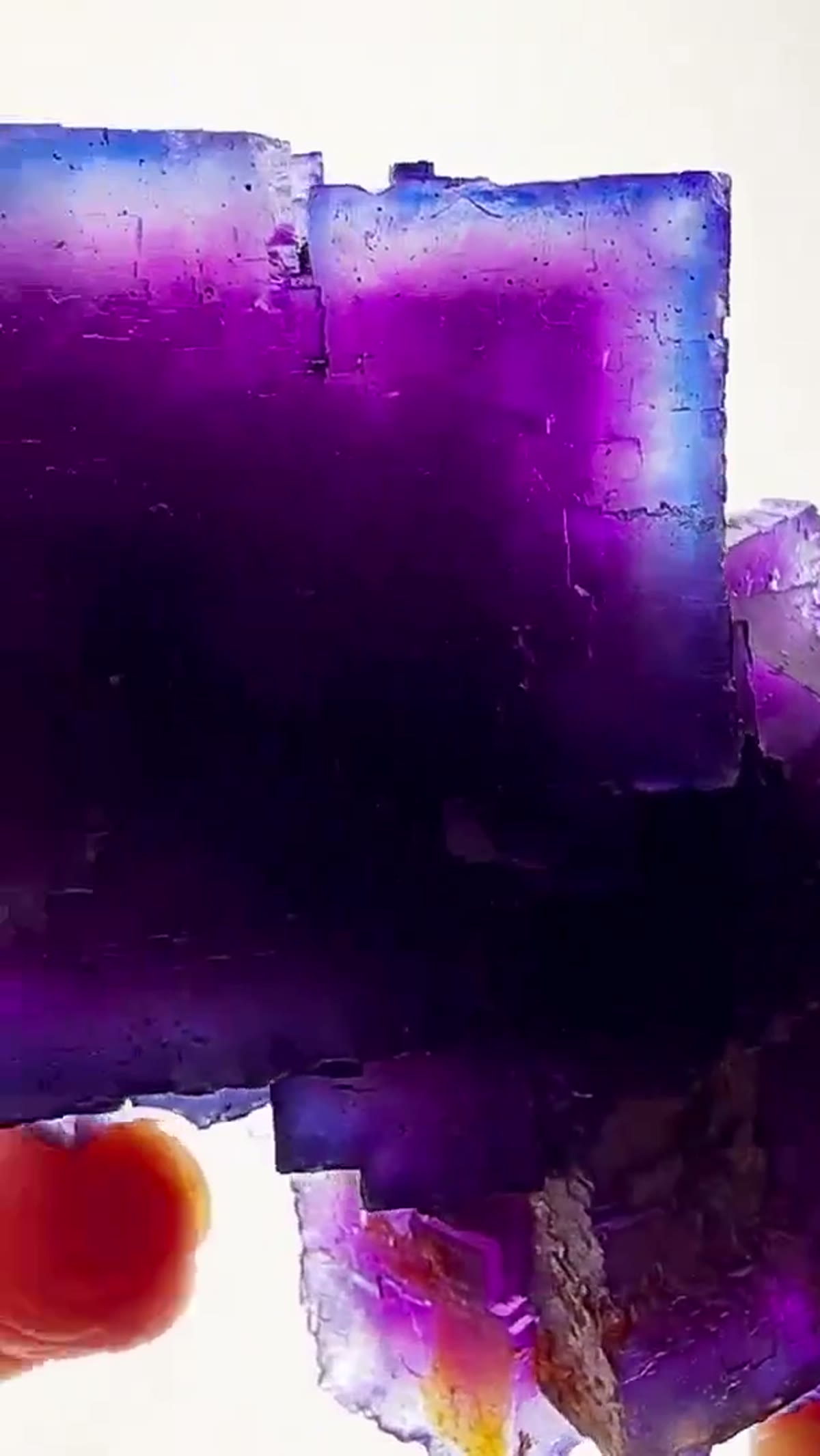Fluorite Specimen from Illinois, USA: Purple Blue perfection from Pope County - view 4