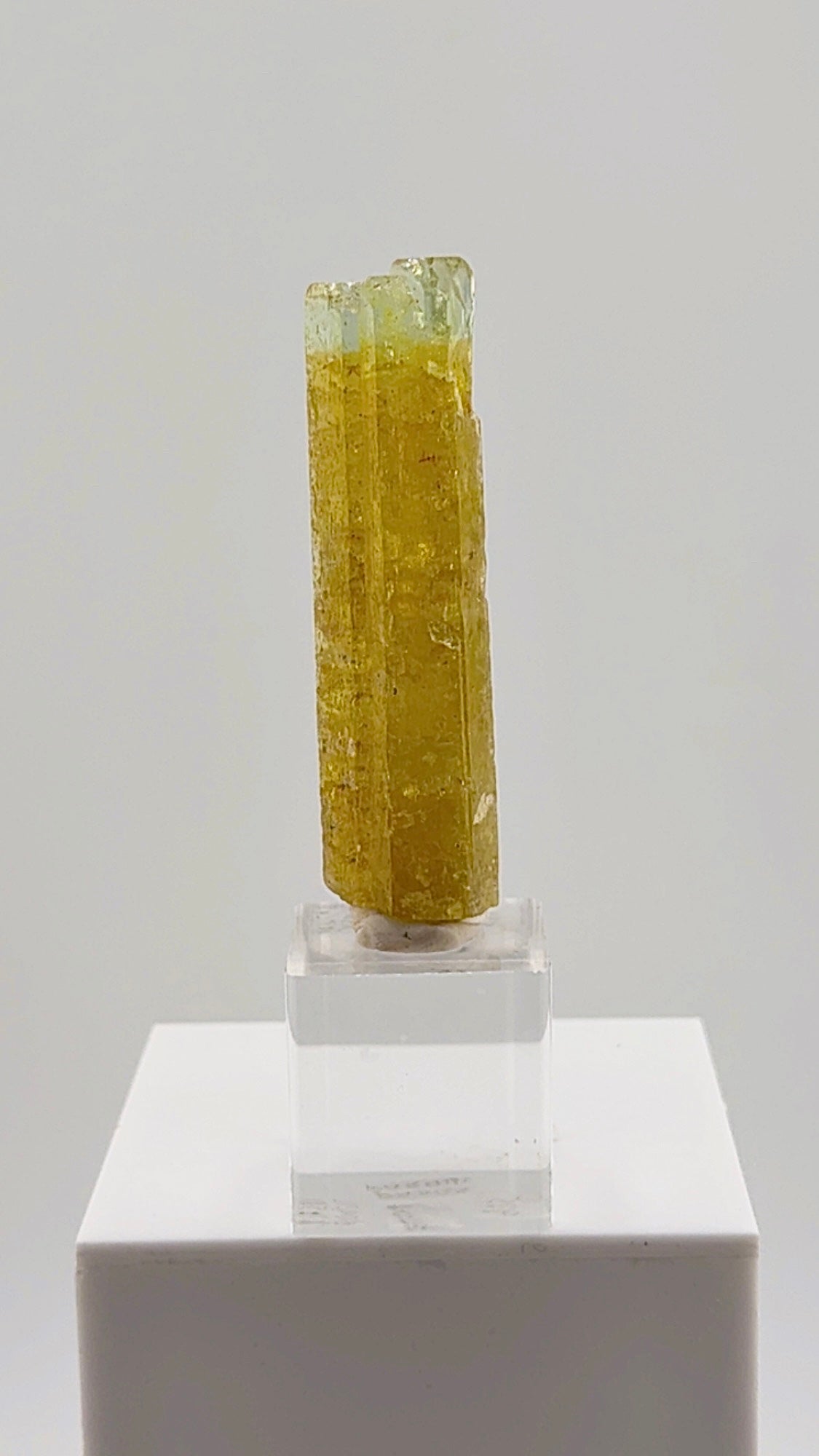 This exceptional 32.50 gram Heliodor from the legendary Padre Paraíso Pegmatite, Minas Gerais, Brazil displays a rich golden body that seamlessly transitions into a delicate aquamarine-blue tip
