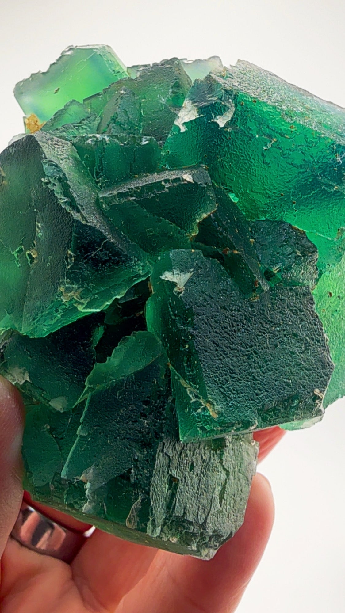 Awesome Okorusu Fluorite EMERALD FIRE FROM THE NAMIBIAN DESERT.