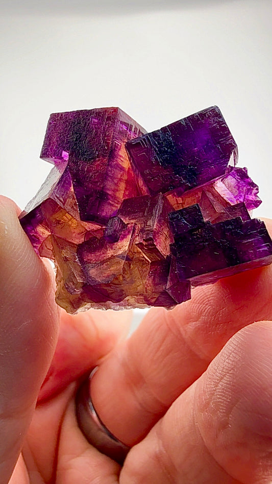 Illinois fluorite at its finest—captured in miniature