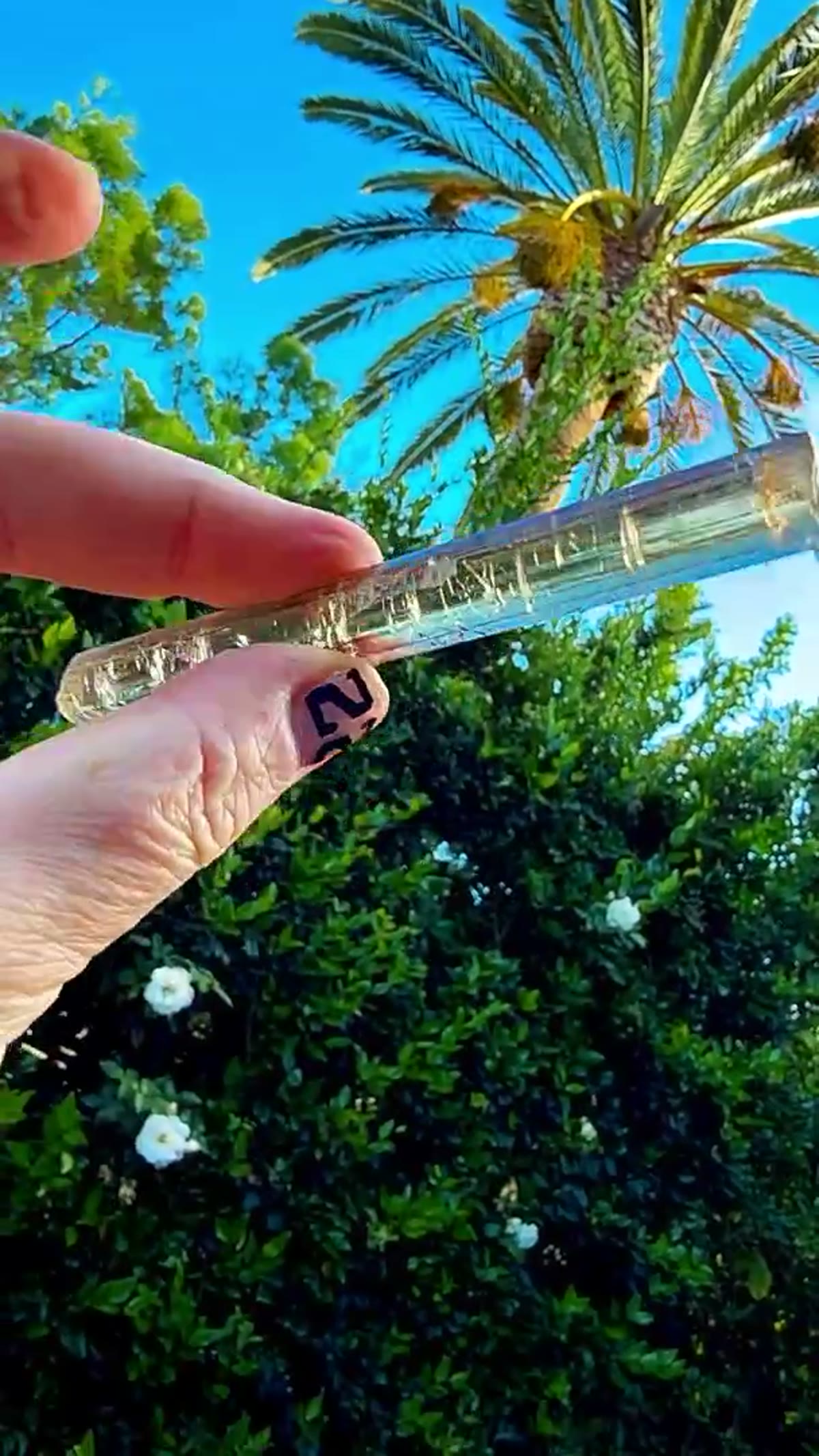 Elbaite Tourmaline Specimen: Natural light and Congolese - view 3