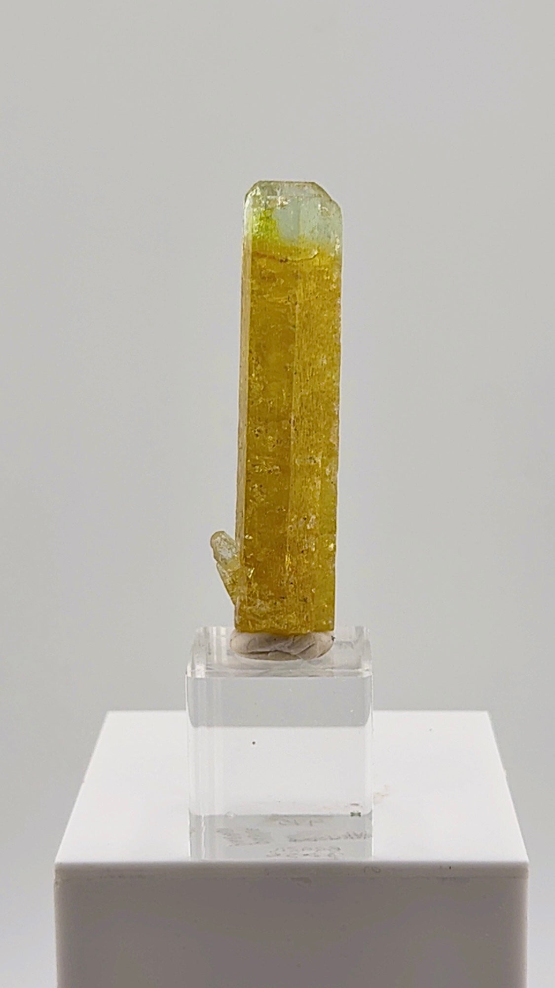 This exceptional 32.50 gram Heliodor from the legendary Padre Paraíso Pegmatite, Minas Gerais, Brazil displays a rich golden body that seamlessly transitions into a delicate aquamarine-blue tip