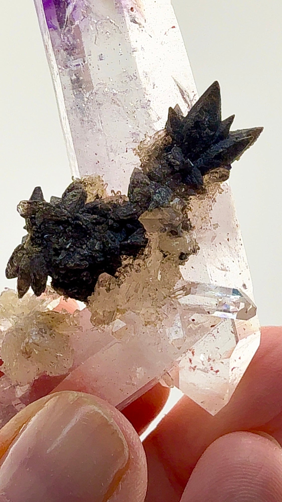 59.07 gram Double-Terminated Amethyst Quartz Valentine Pocket, Goboboseb Mountains, Namibia 59.07 grams
