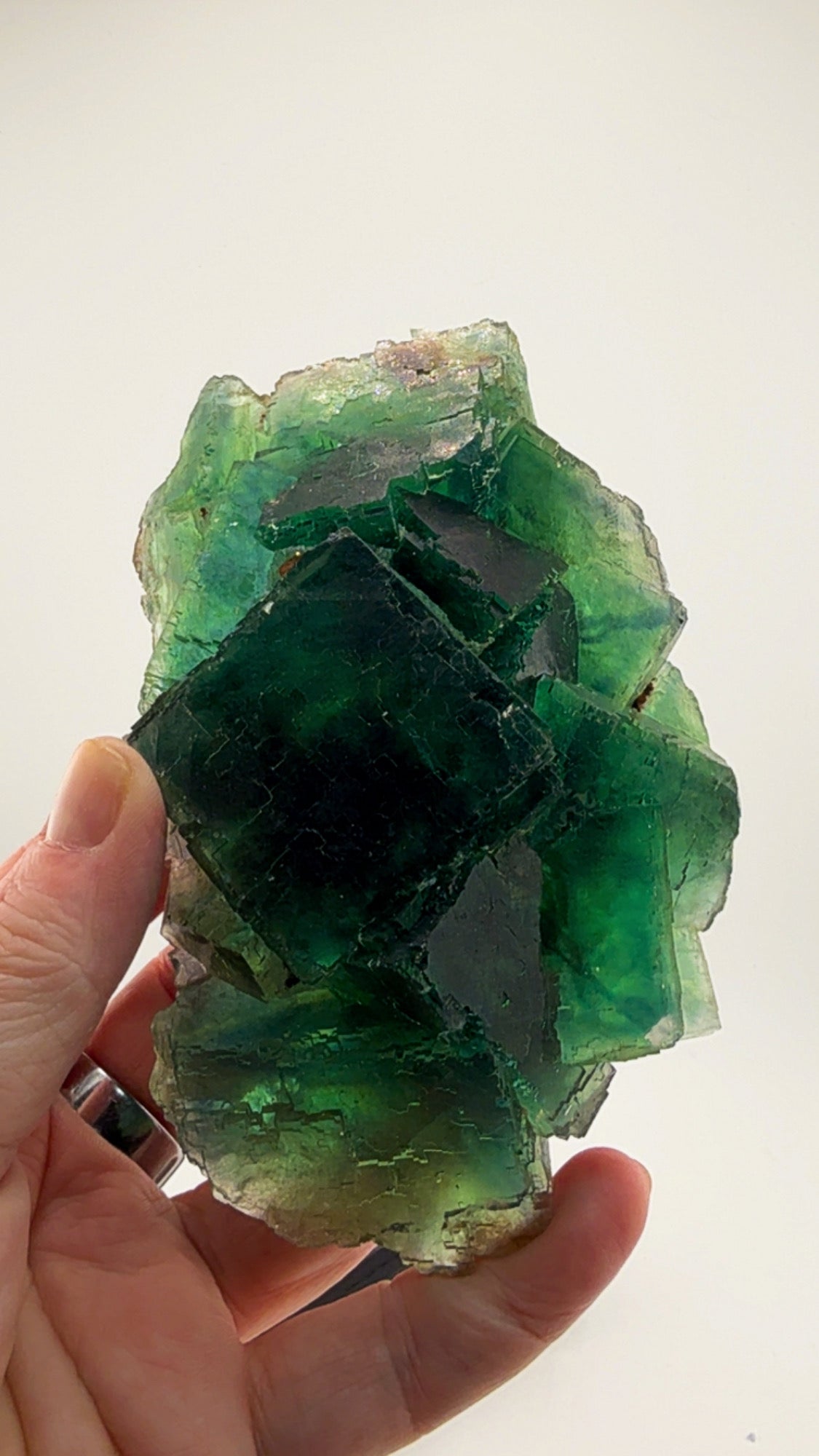 Awesome Okorusu Fluorite EMERALD FIRE FROM THE NAMIBIAN DESERT.