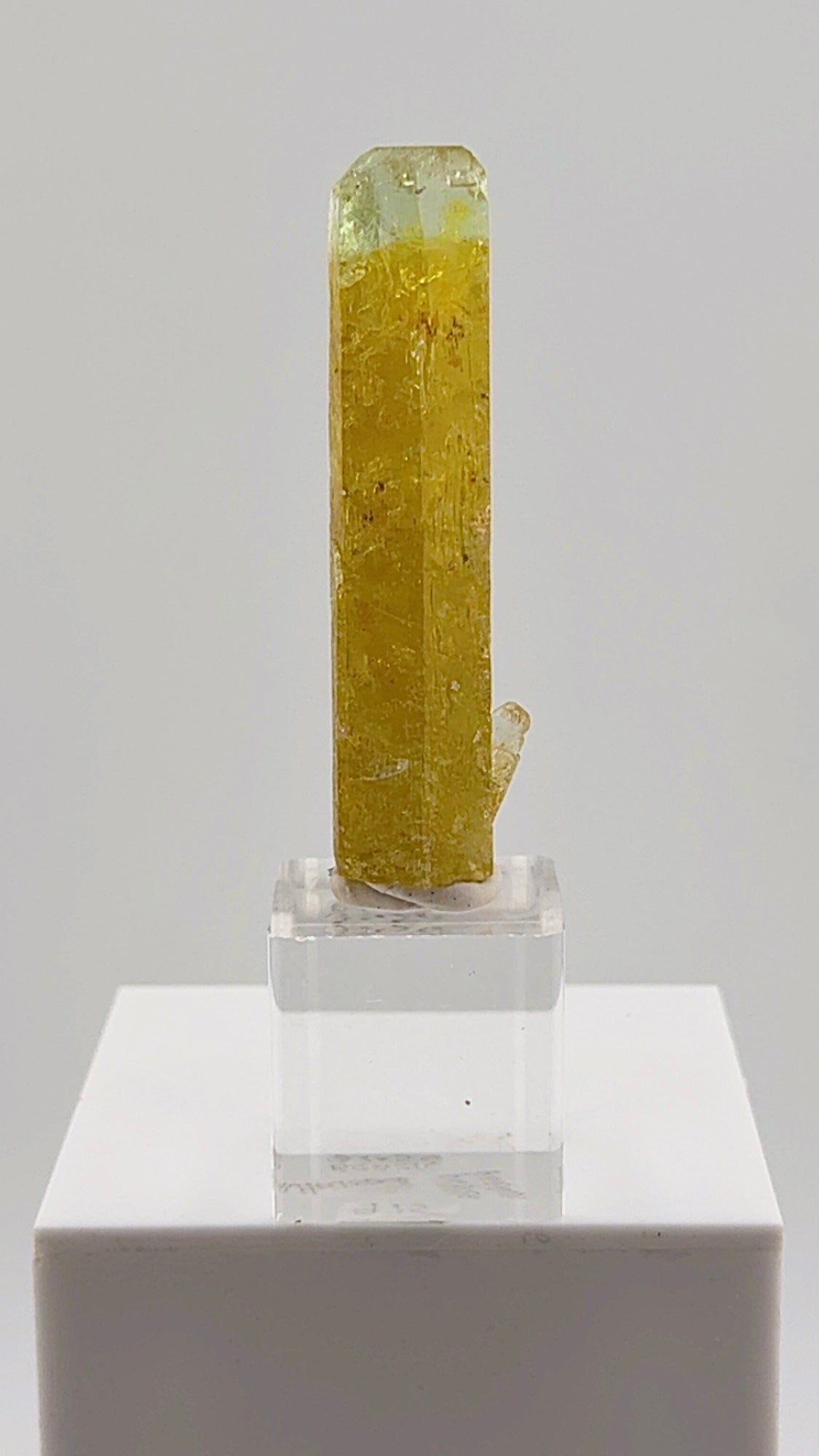 This exceptional 32.50 gram Heliodor from the legendary Padre Paraíso Pegmatite, Minas Gerais, Brazil displays a rich golden body that seamlessly transitions into a delicate aquamarine-blue tip