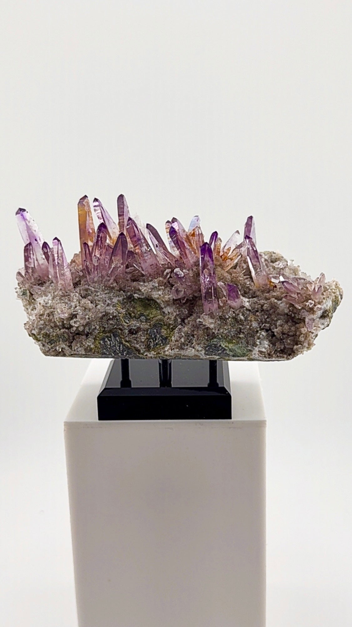 Veracruz amethyst has a personality all its own.