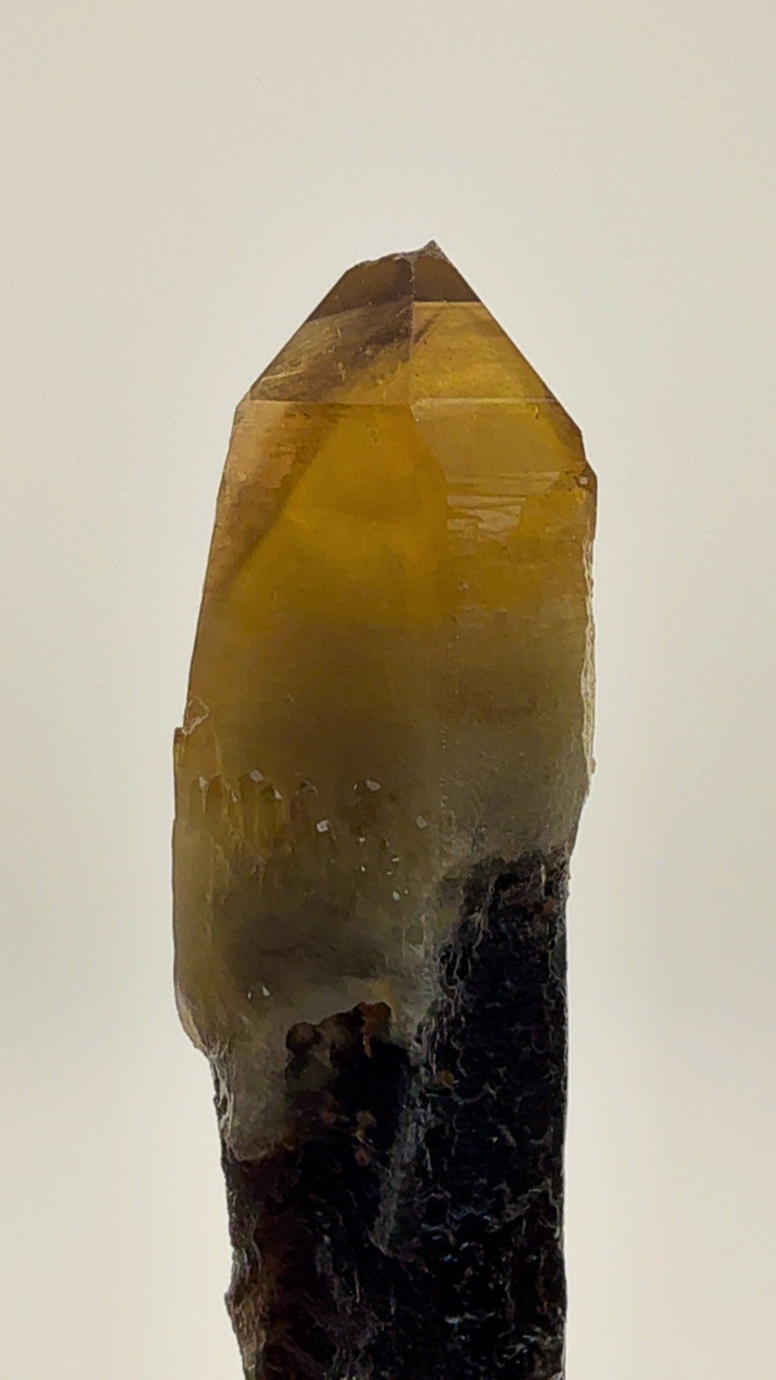 Moonlight Pocket Smoky Citrine