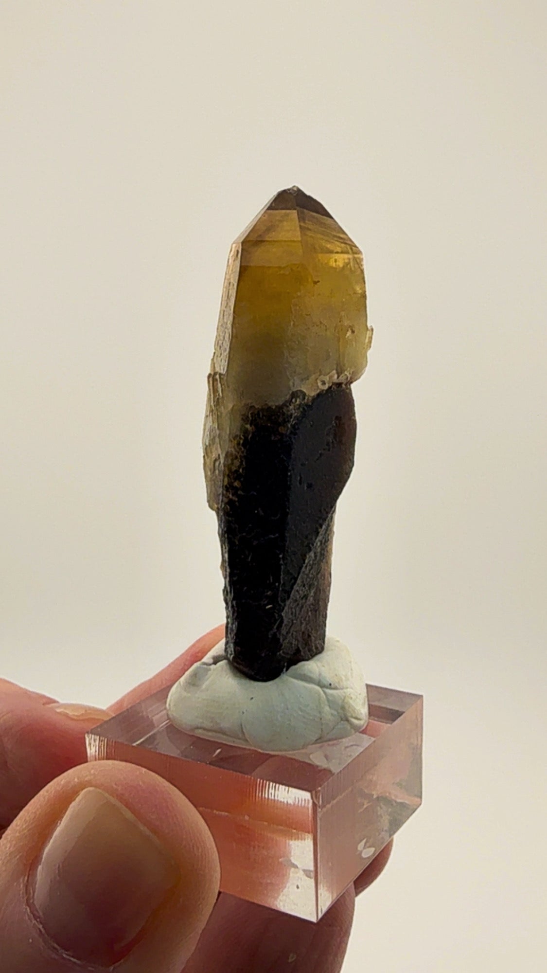Moonlight Pocket Smoky Citrine
