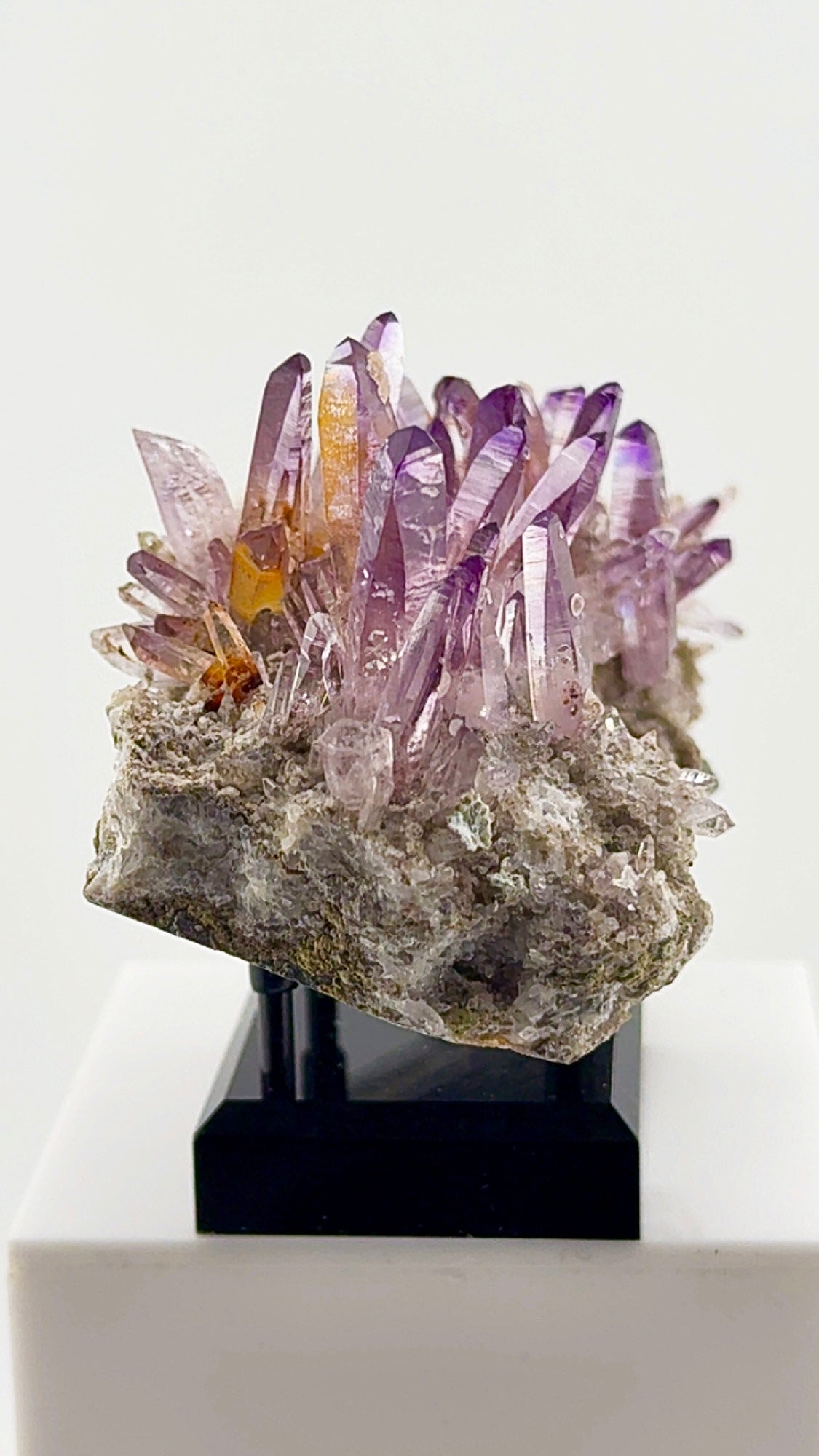 Veracruz amethyst has a personality all its own.