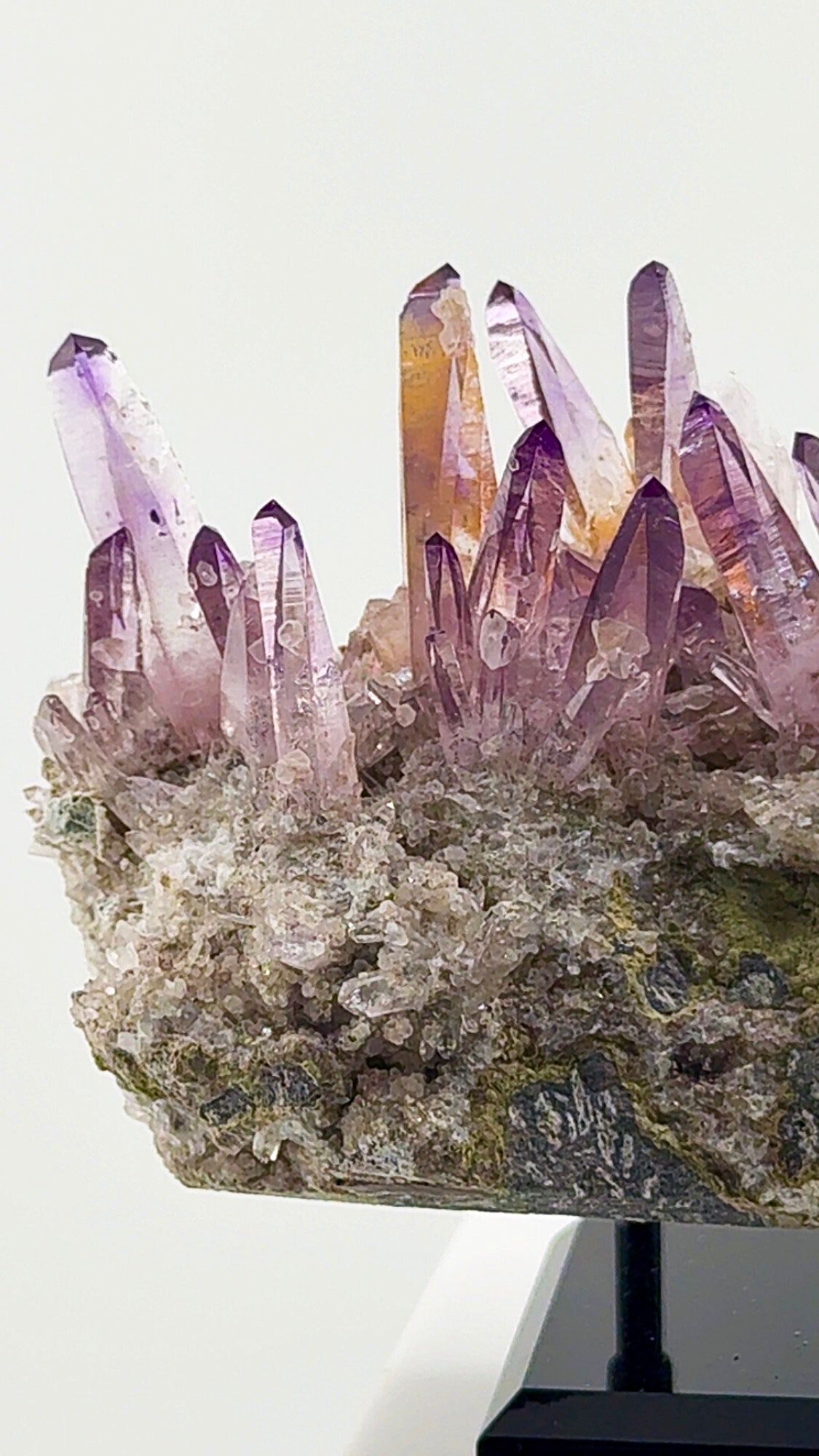 Veracruz amethyst has a personality all its own.